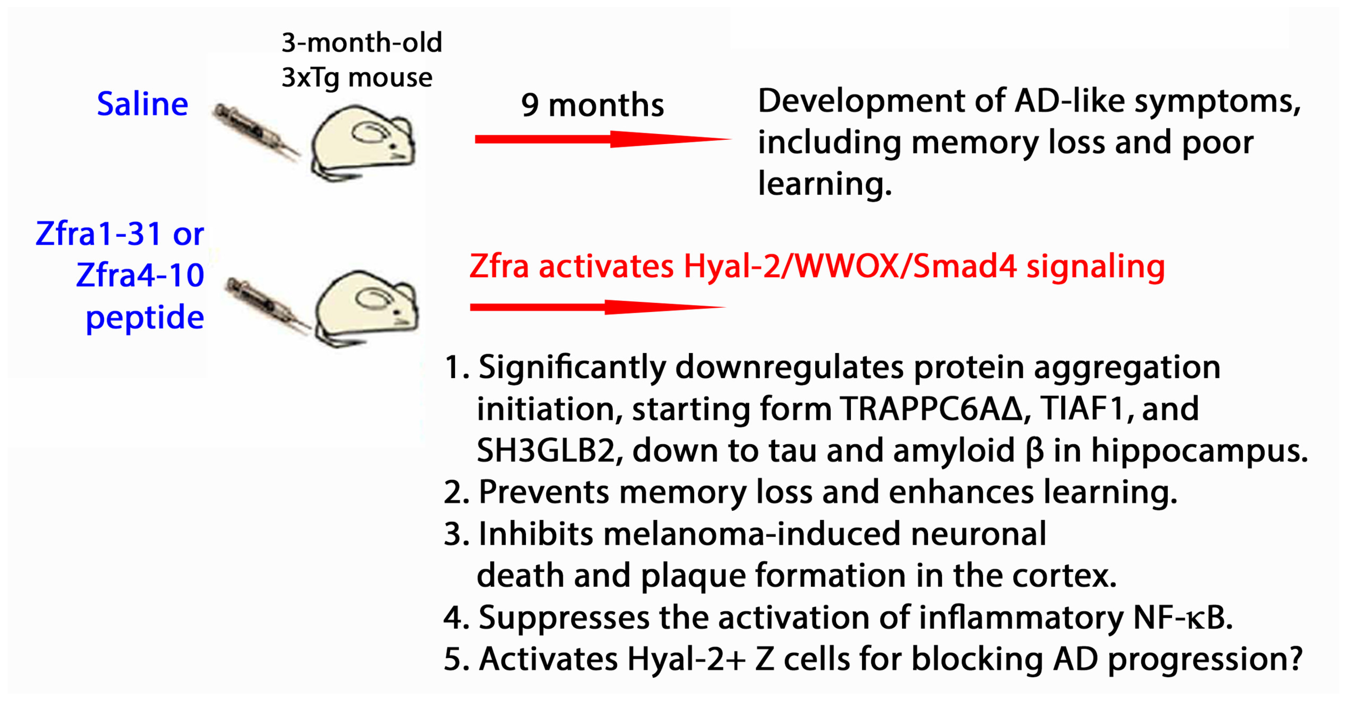 Ijms 25 03507 g003 Ijms 25 03507 g003