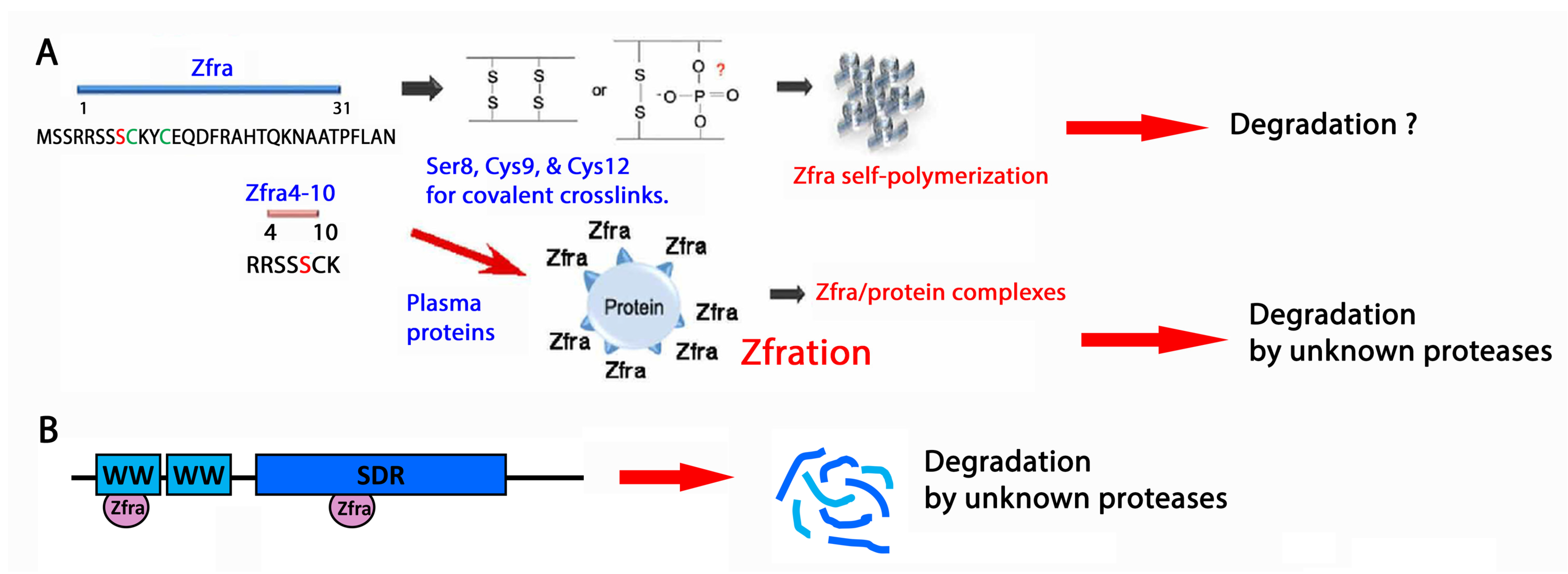 Ijms 25 03507 g004 Ijms 25 03507 g004