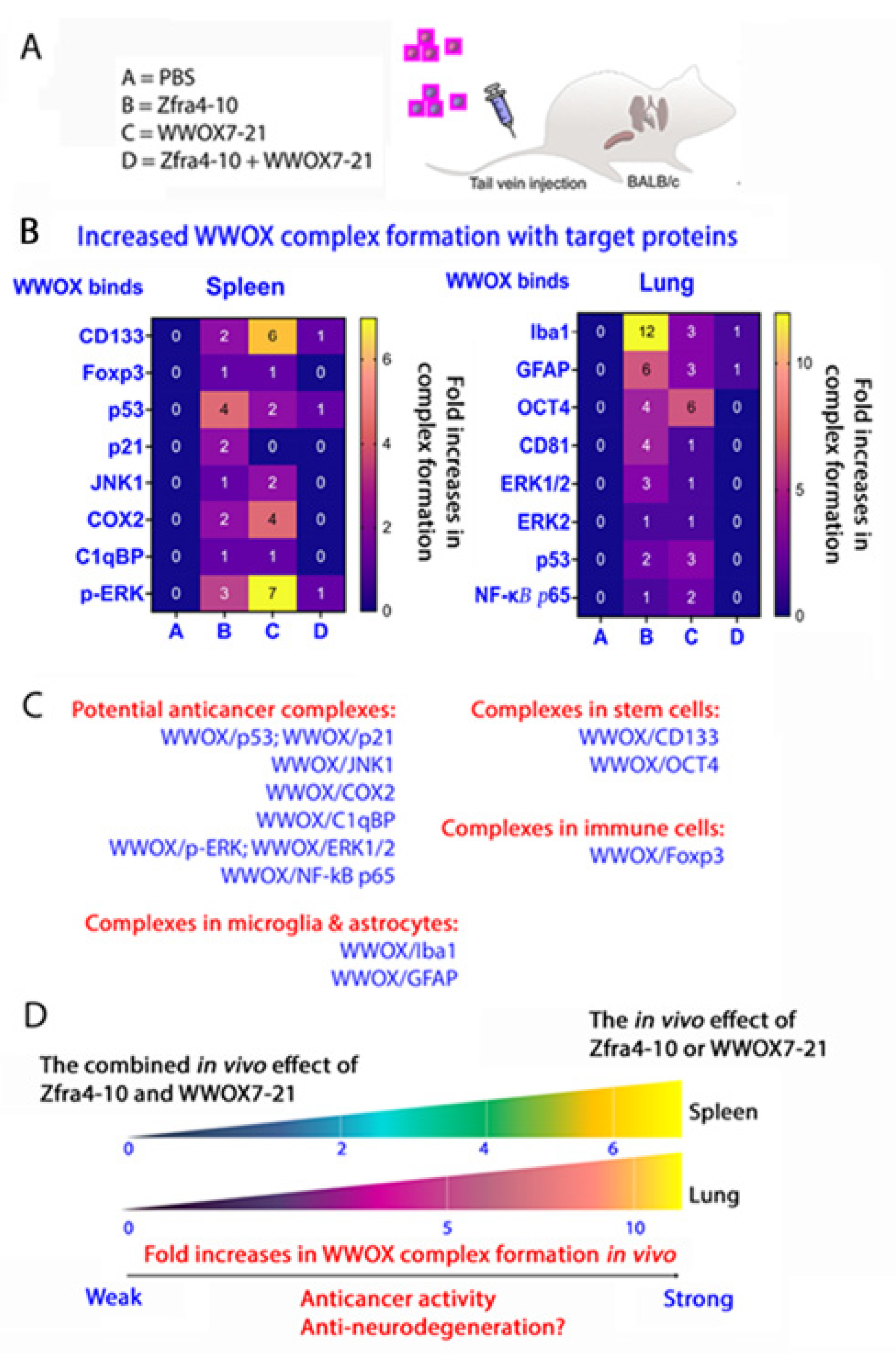 Ijms 25 03507 g005 Ijms 25 03507 g005