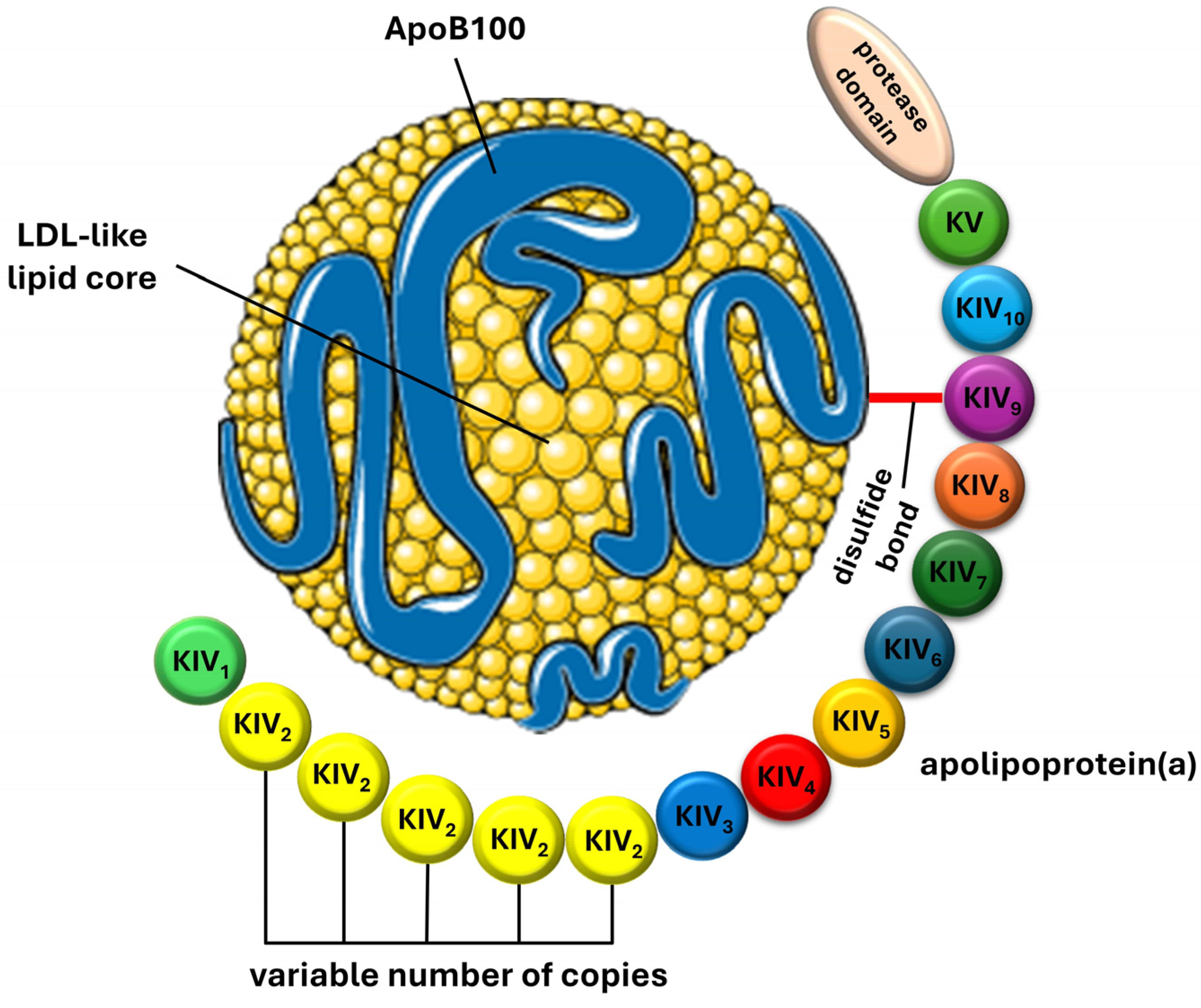 Ijms 25 03537 g001 Ijms 25 03537 g001