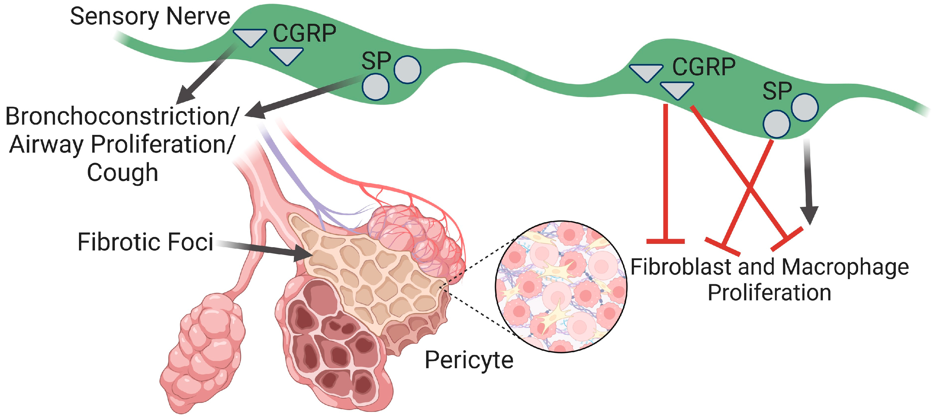 Ijms 25 03538 g002 Ijms 25 03538 g002