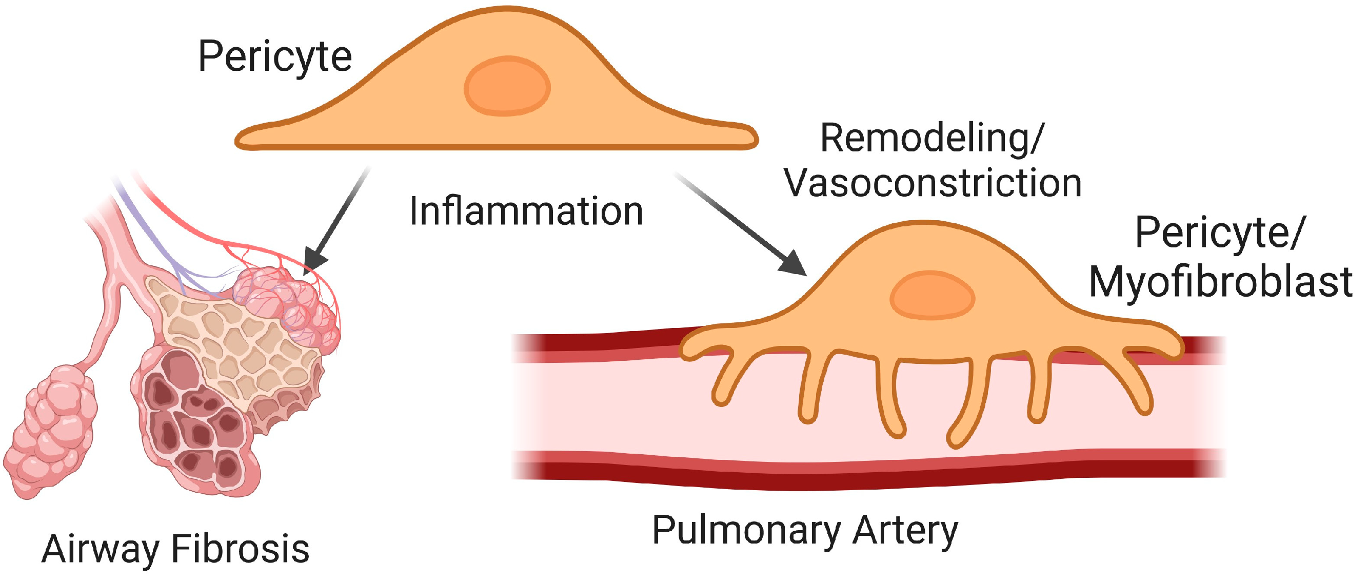 Ijms 25 03538 g004 Ijms 25 03538 g004