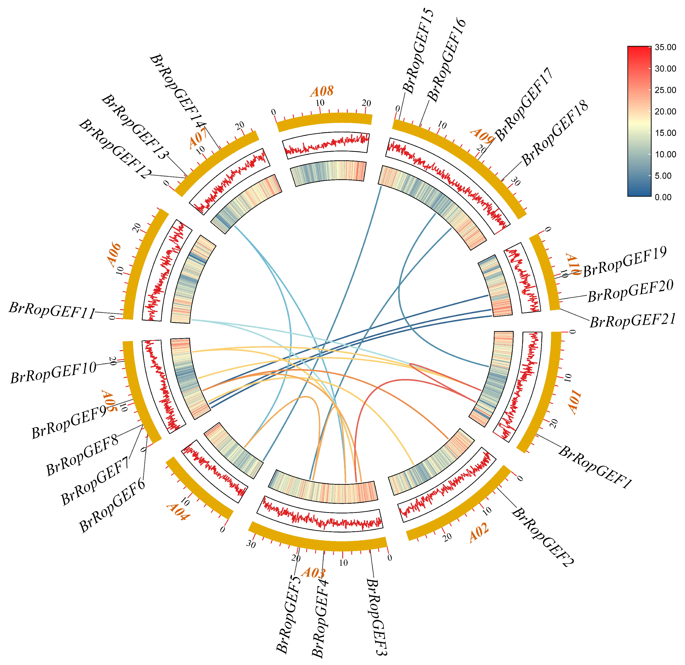 Ijms 25 03541 g001 Ijms 25 03541 g001