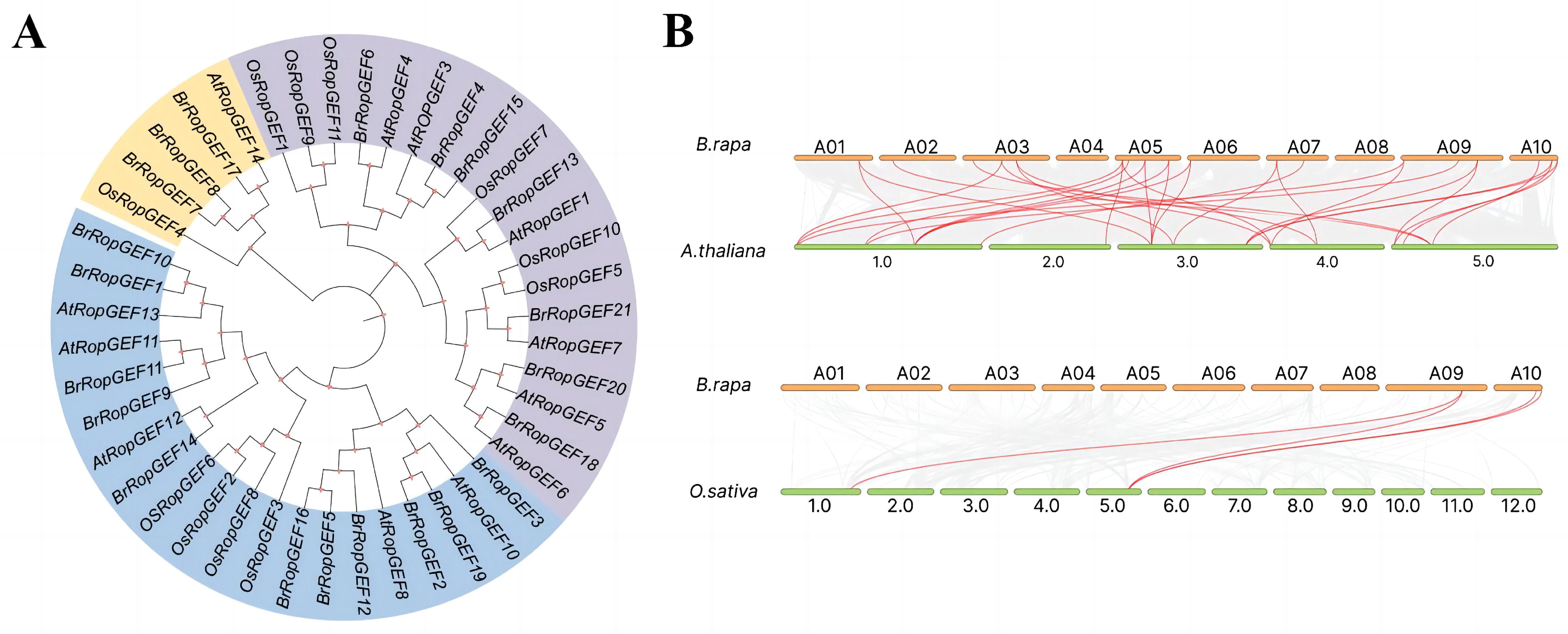 Ijms 25 03541 g002 Ijms 25 03541 g002