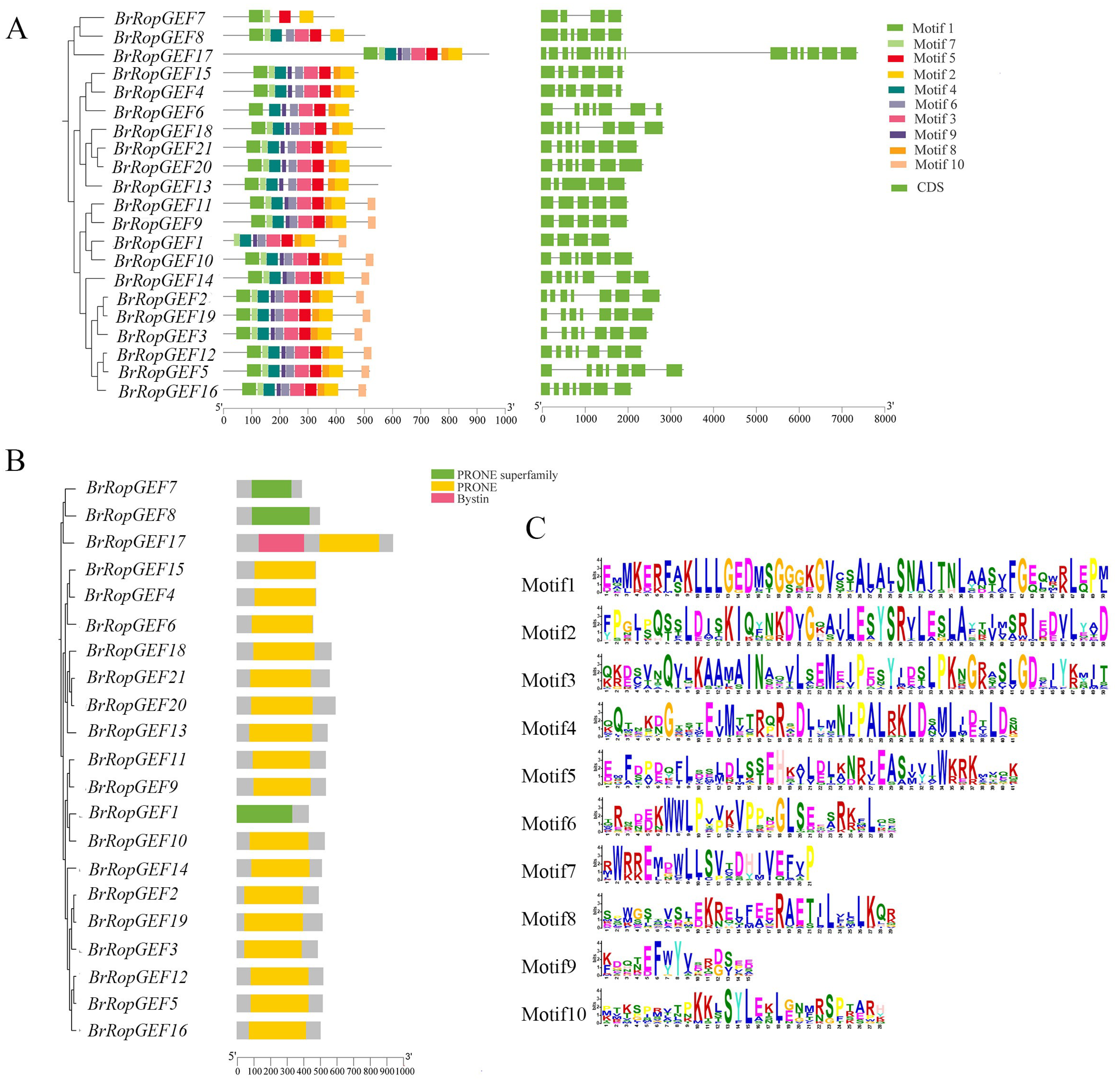 Ijms 25 03541 g004 Ijms 25 03541 g004