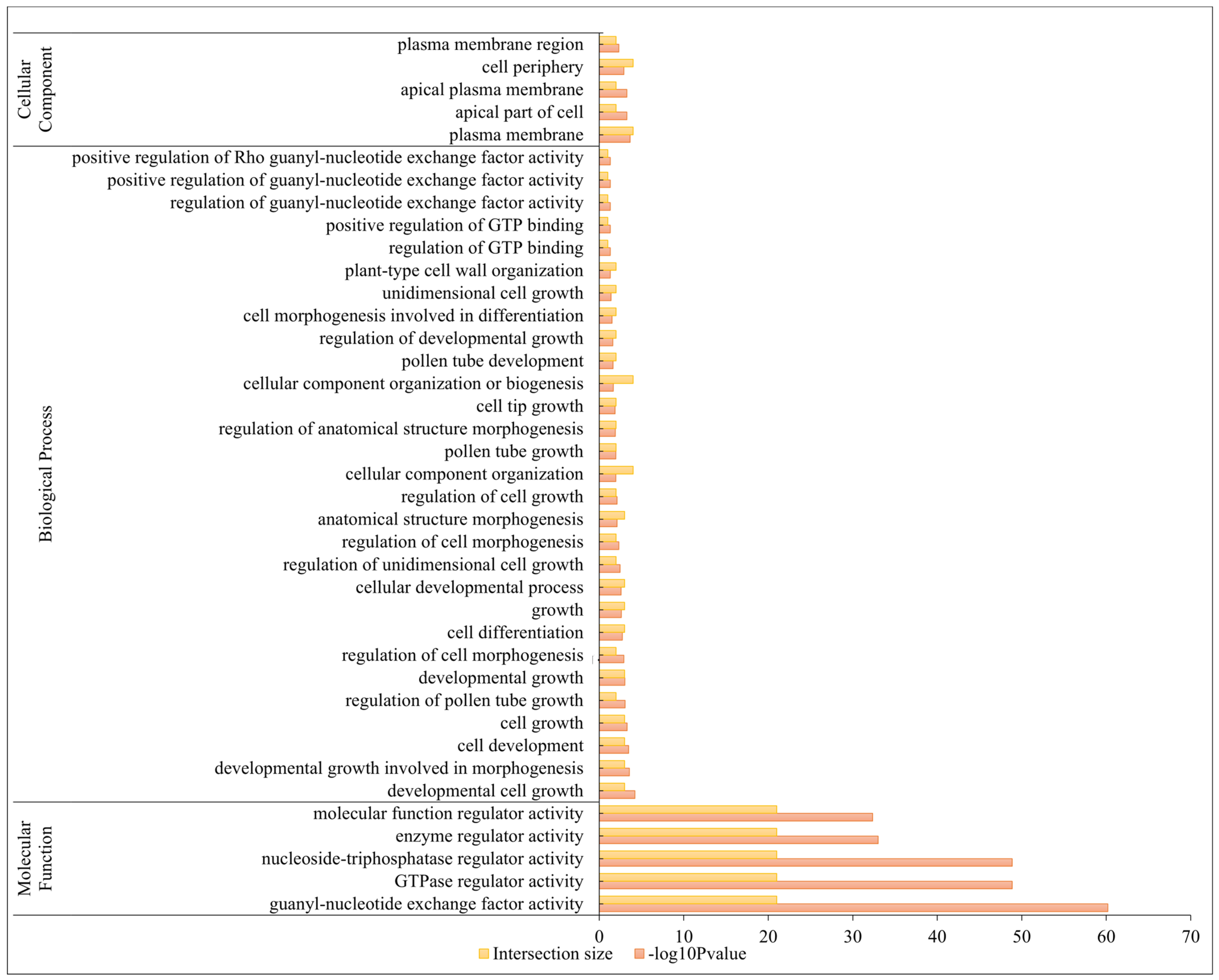 Ijms 25 03541 g005 Ijms 25 03541 g005