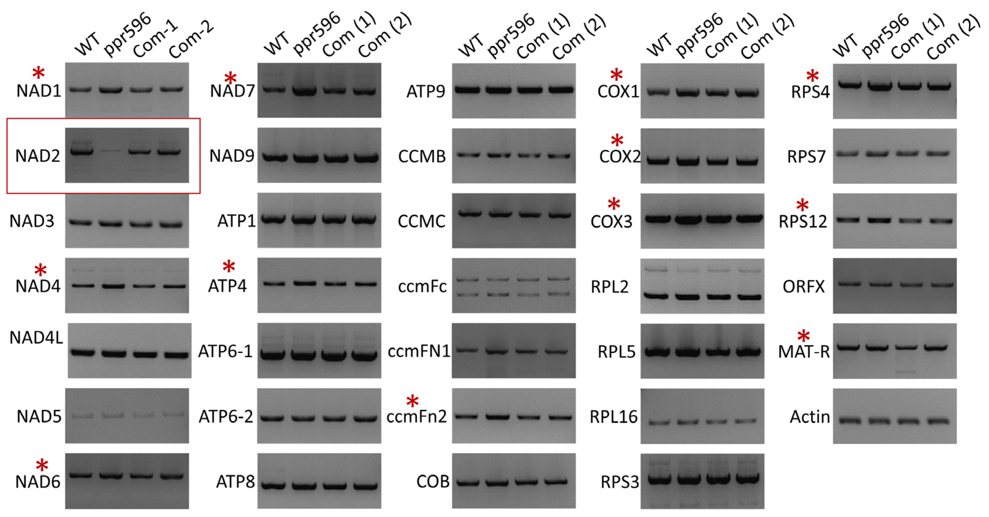Ijms 25 03542 g003 Ijms 25 03542 g003