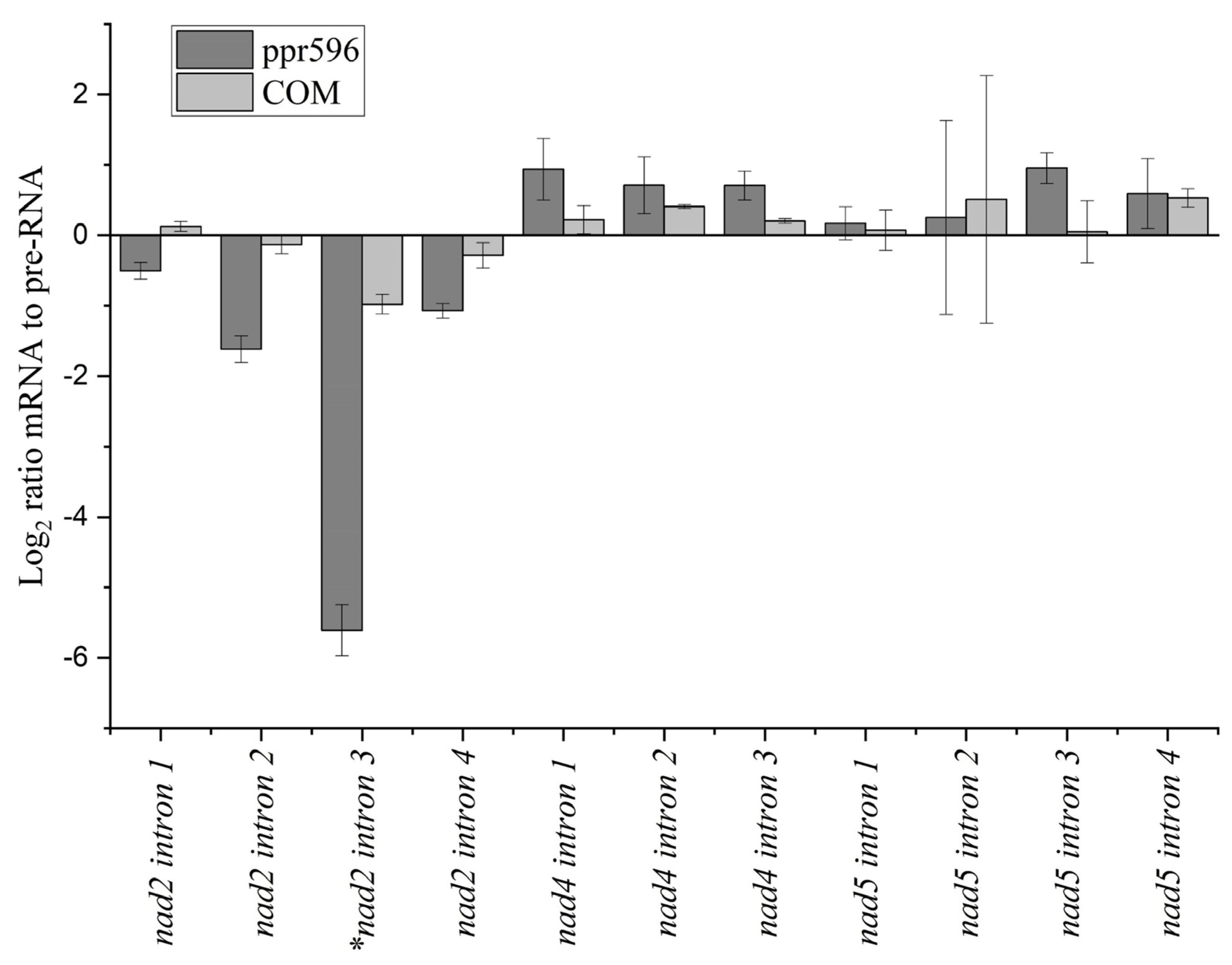Ijms 25 03542 g005 Ijms 25 03542 g005