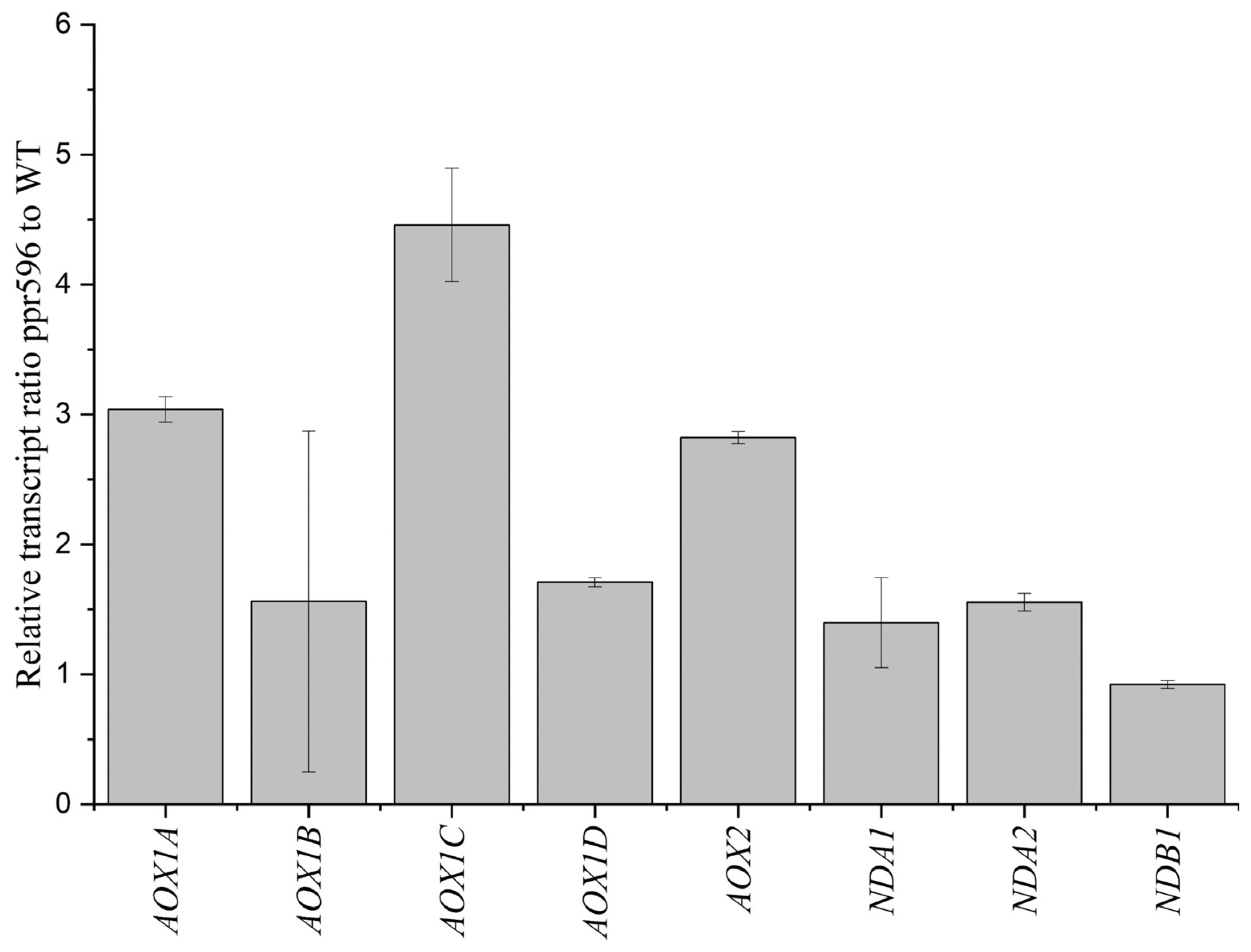 Ijms 25 03542 g007 Ijms 25 03542 g007