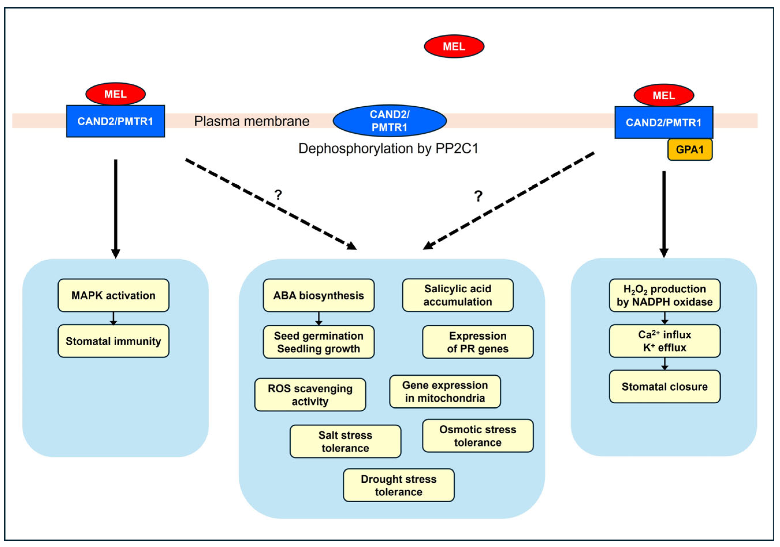 Ijms 25 03550 g002 Ijms 25 03550 g002