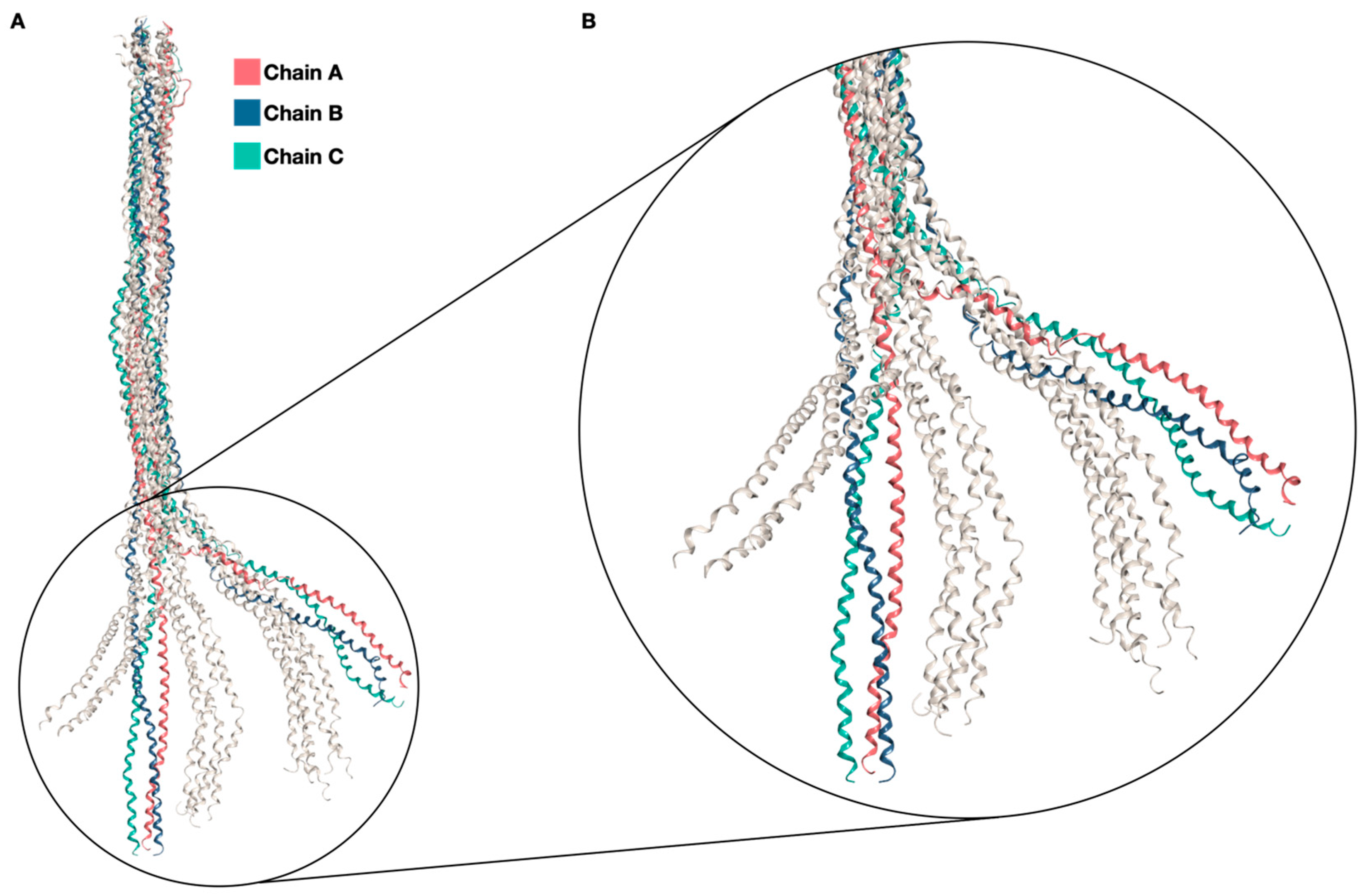 Ijms 25 03555 g001 Ijms 25 03555 g001