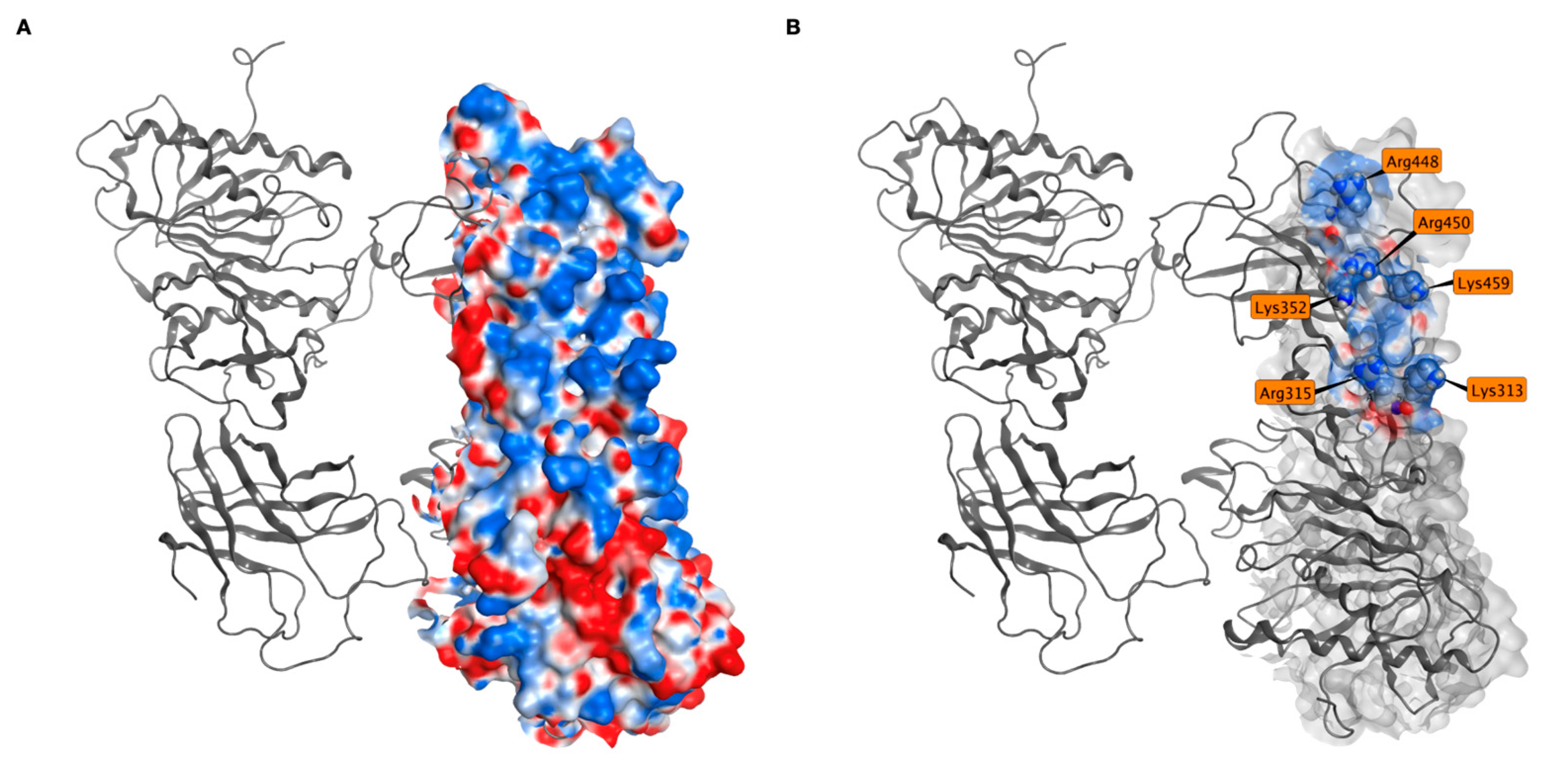Ijms 25 03555 g008 Ijms 25 03555 g008
