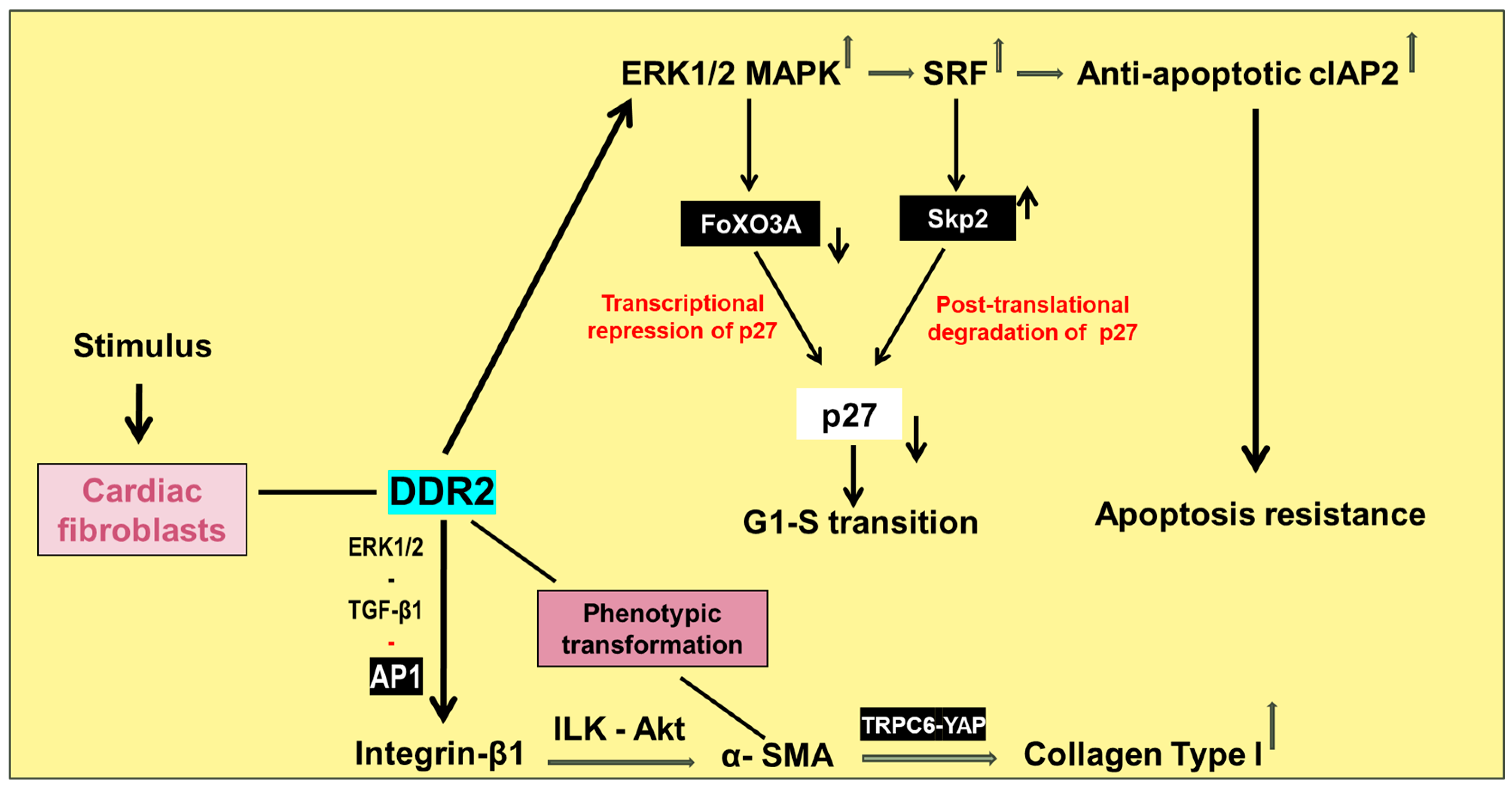 Ijms 25 03581 g003 Ijms 25 03581 g003
