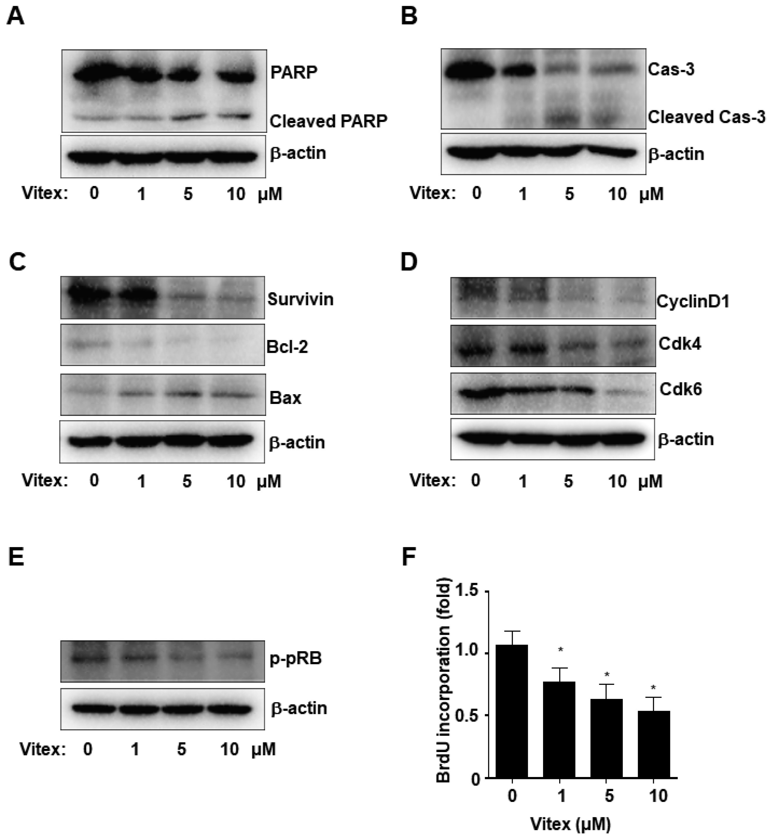 Ijms 25 03582 g003 Ijms 25 03582 g003