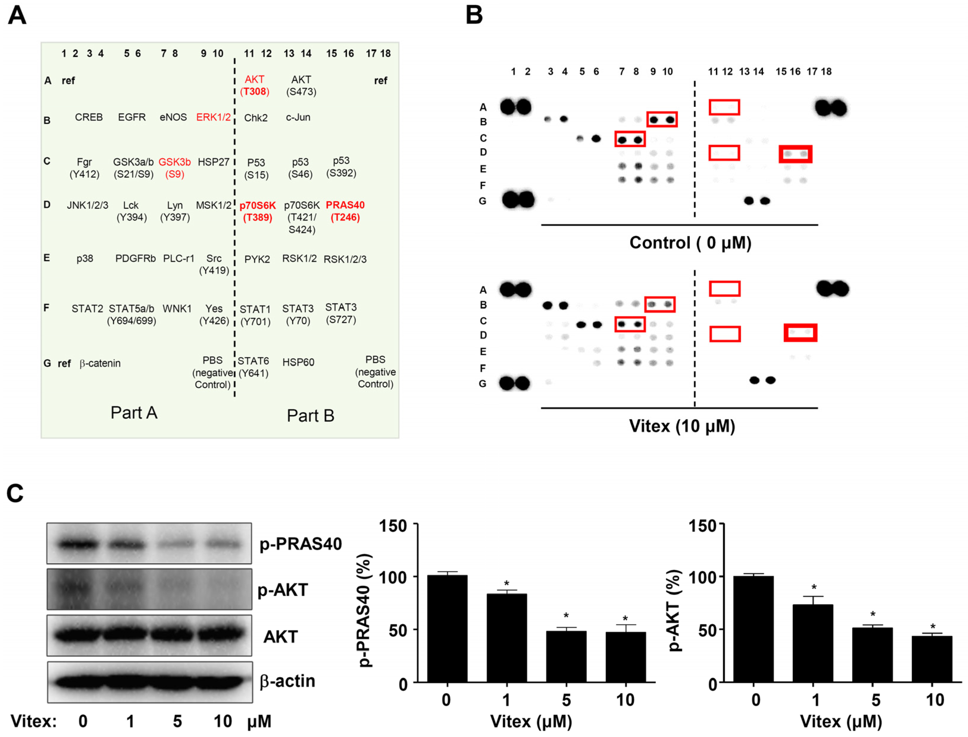 Ijms 25 03582 g004 Ijms 25 03582 g004