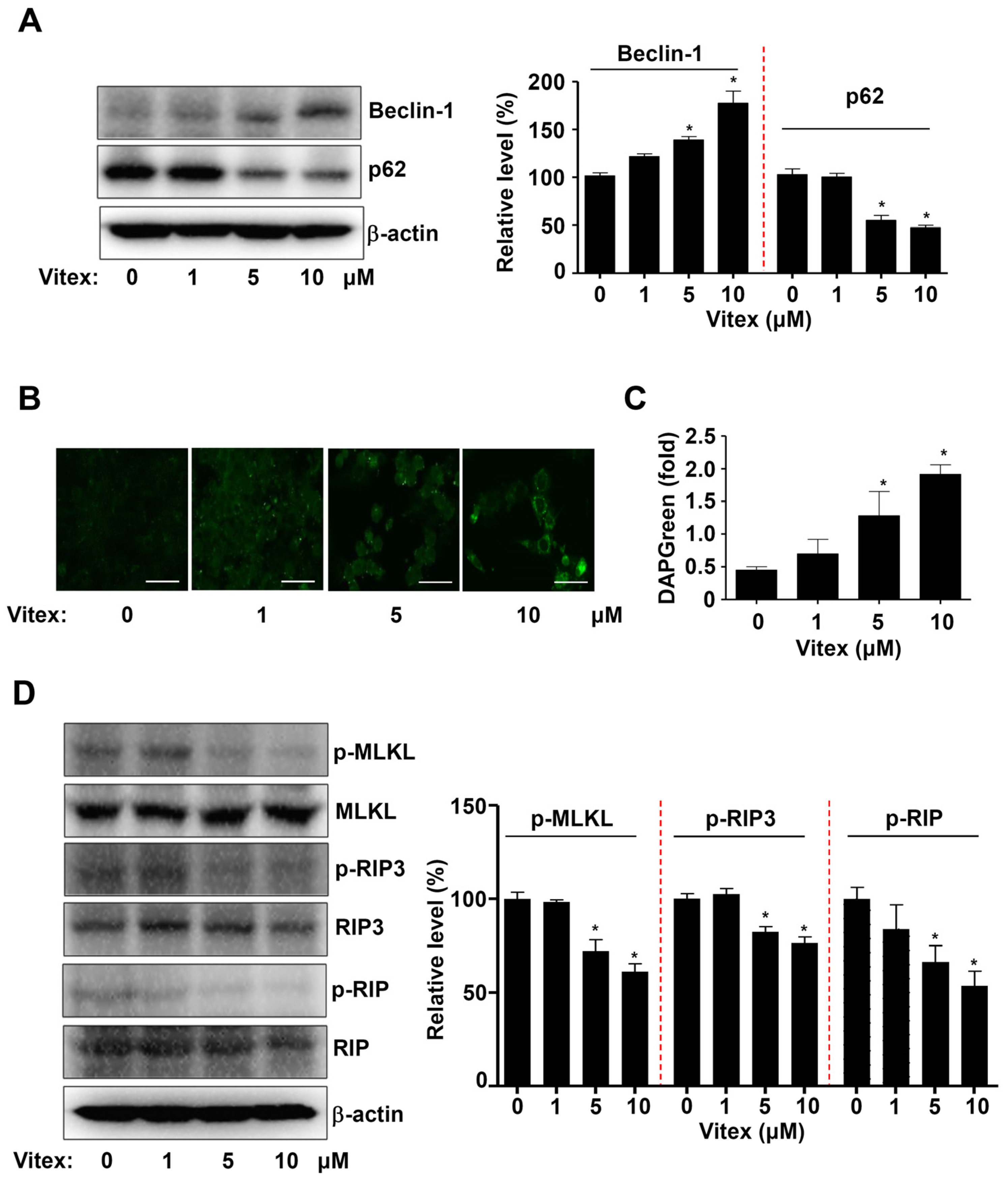 Ijms 25 03582 g005 Ijms 25 03582 g005