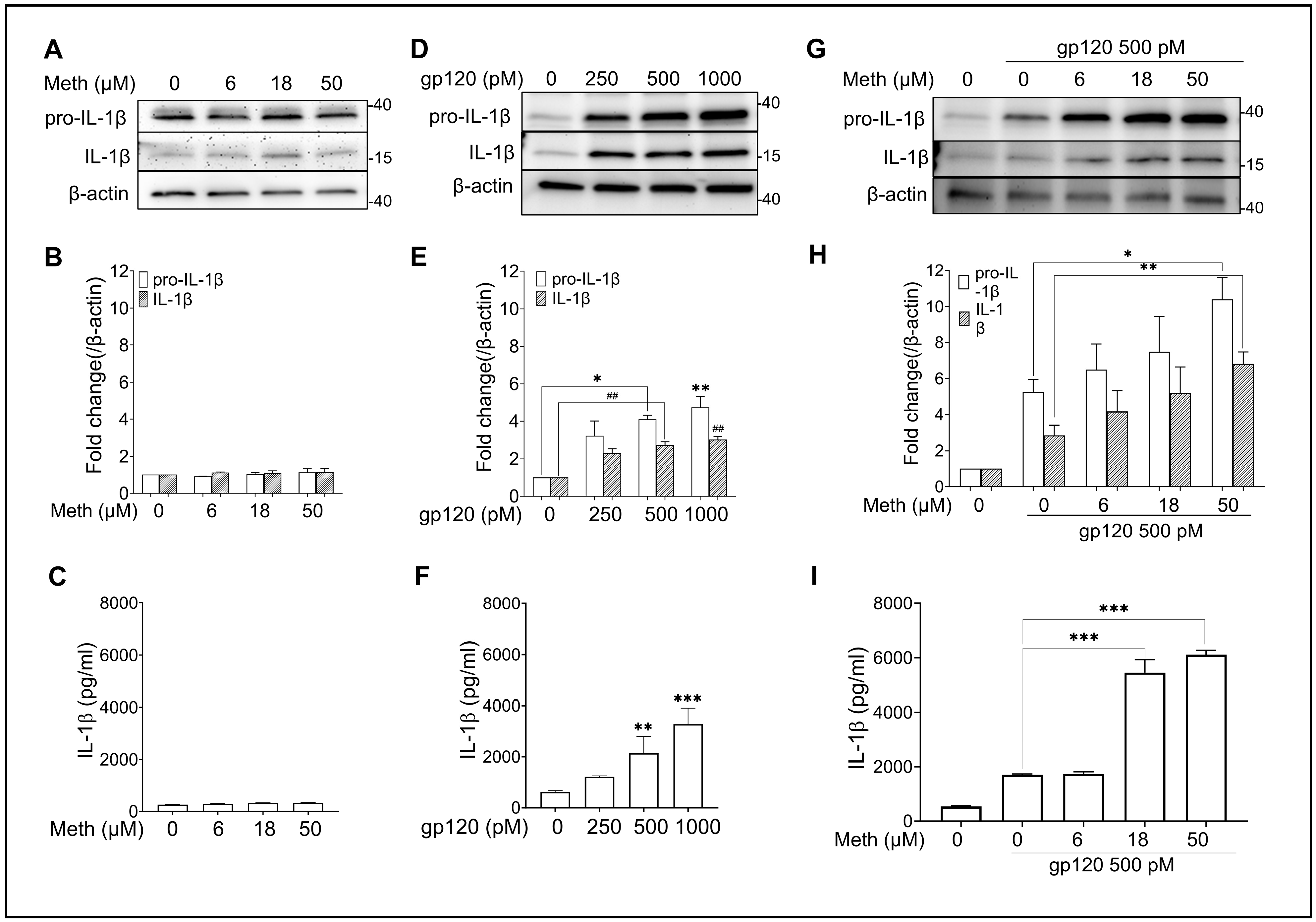 Ijms 25 03588 g001 Ijms 25 03588 g001