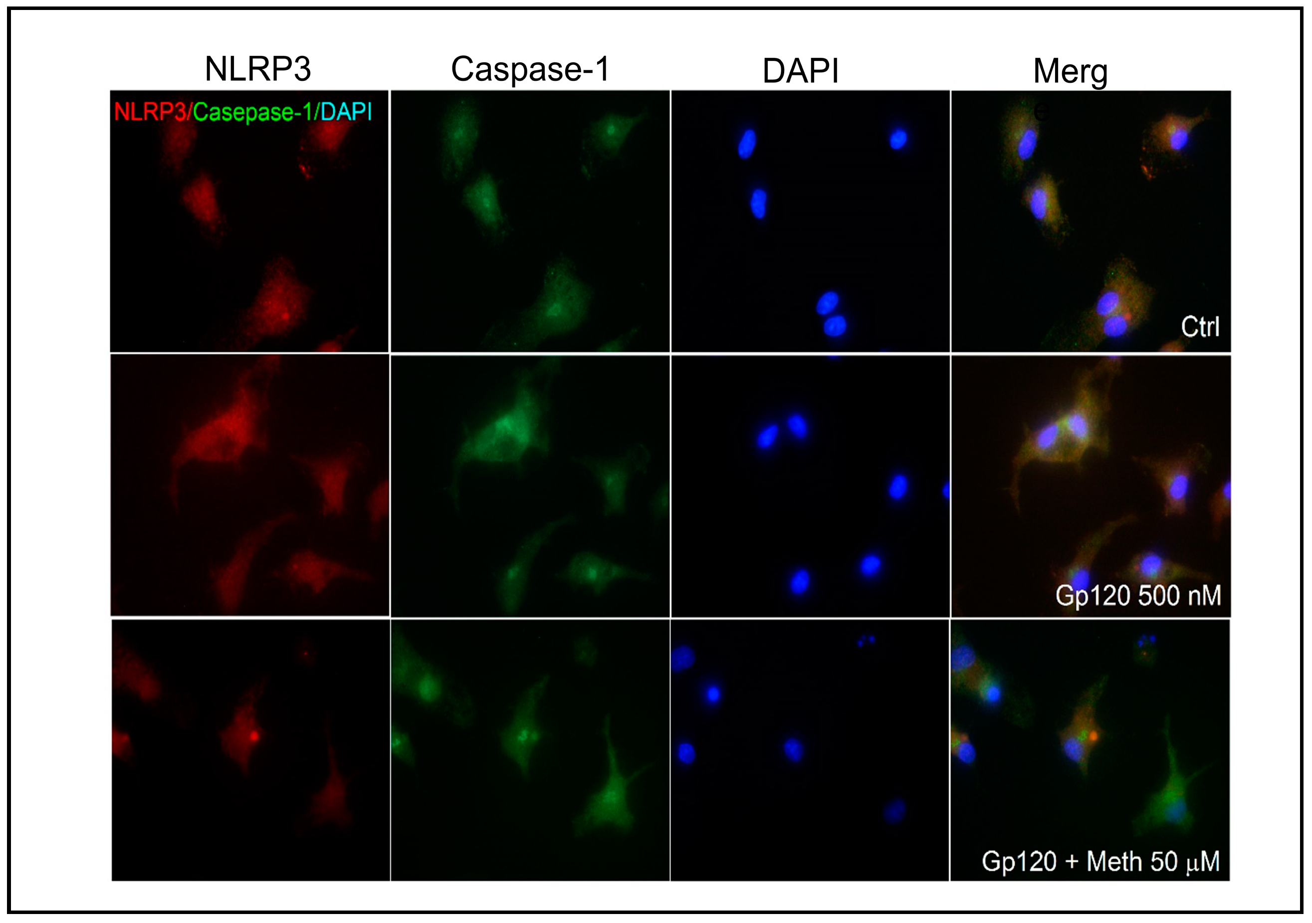Ijms 25 03588 g003 Ijms 25 03588 g003
