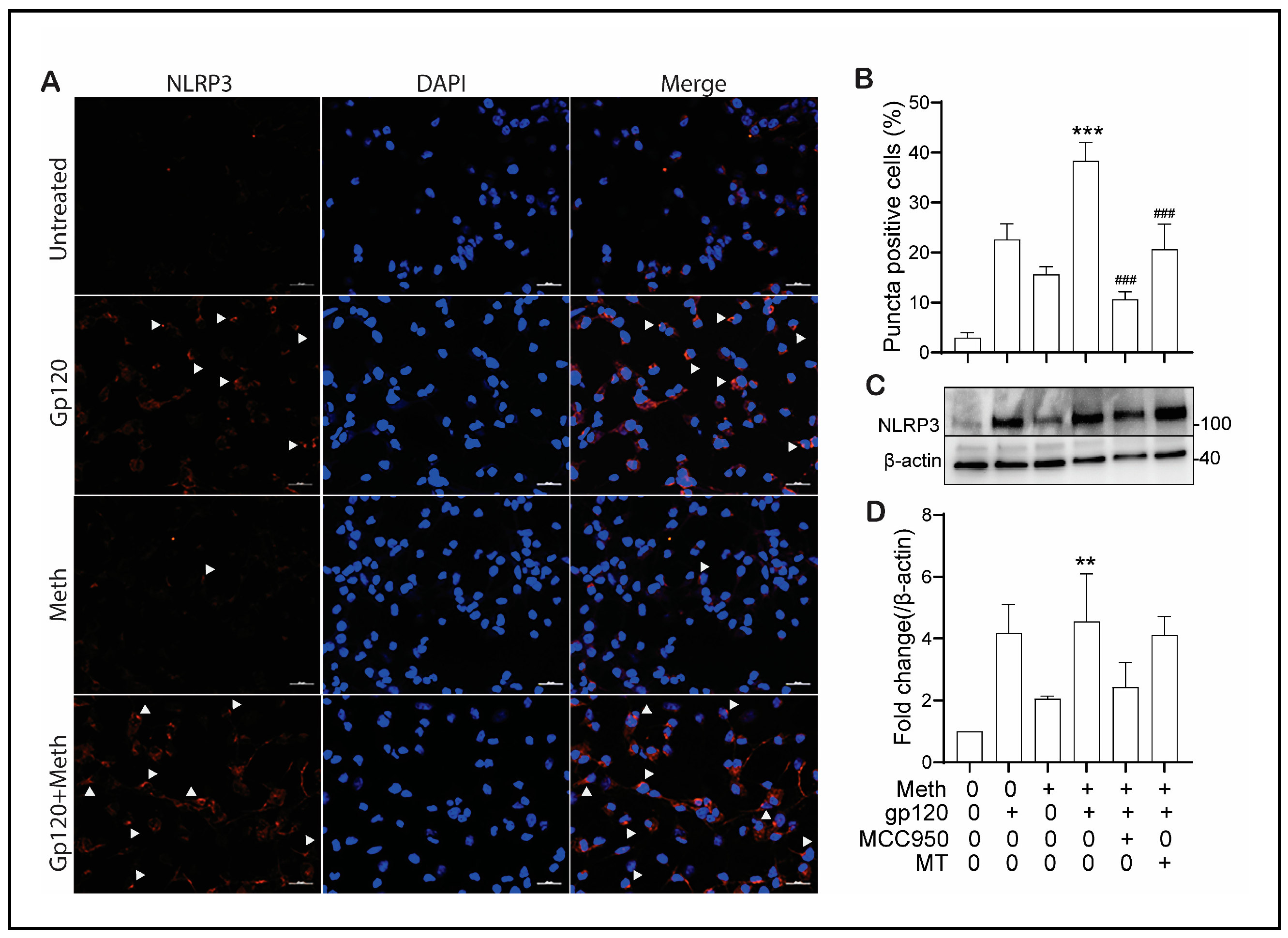 Ijms 25 03588 g004 Ijms 25 03588 g004