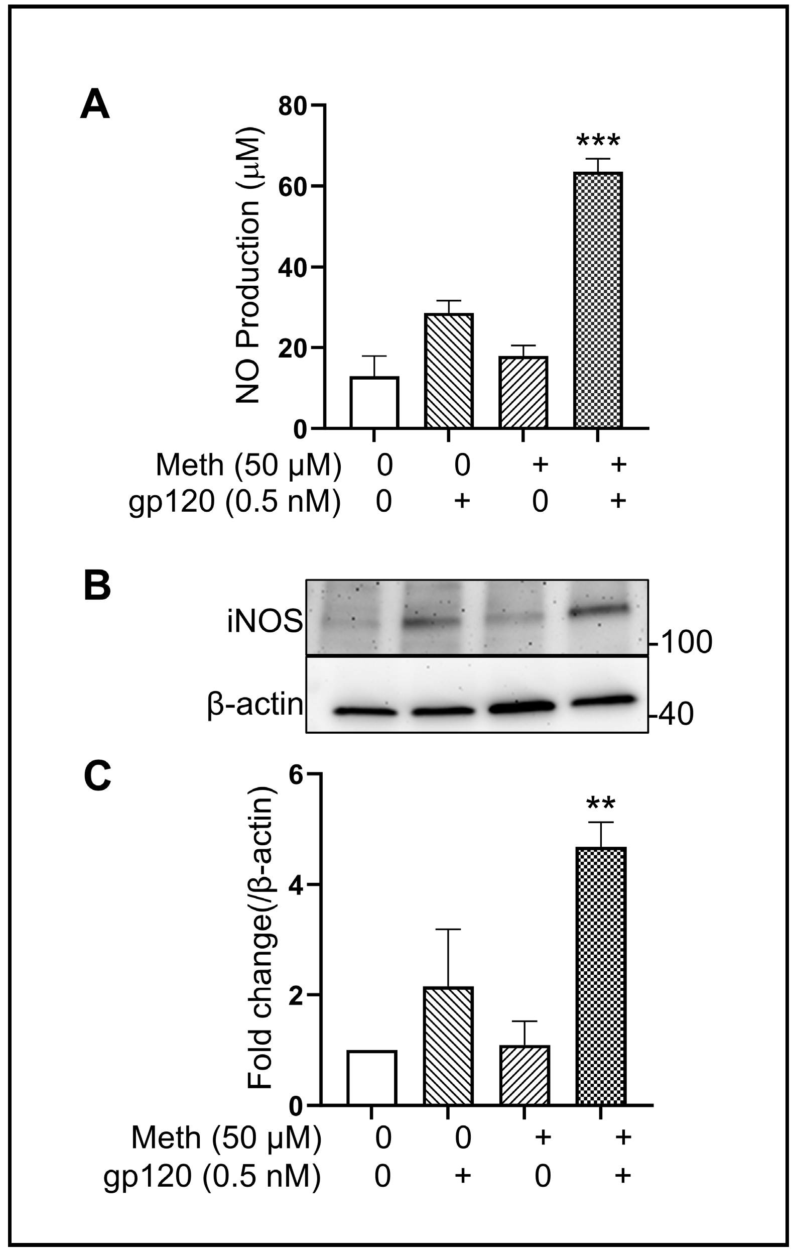 Ijms 25 03588 g007 Ijms 25 03588 g007
