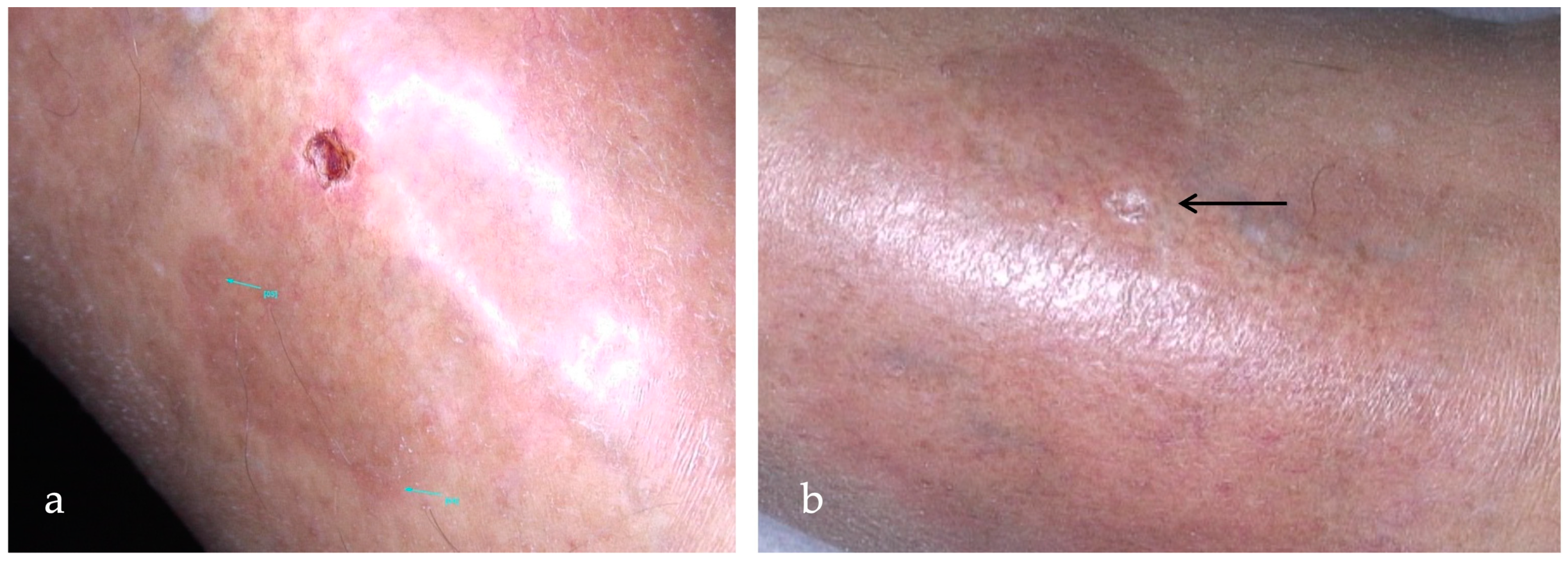 Ijms 25 03608 g003 Ijms 25 03608 g003