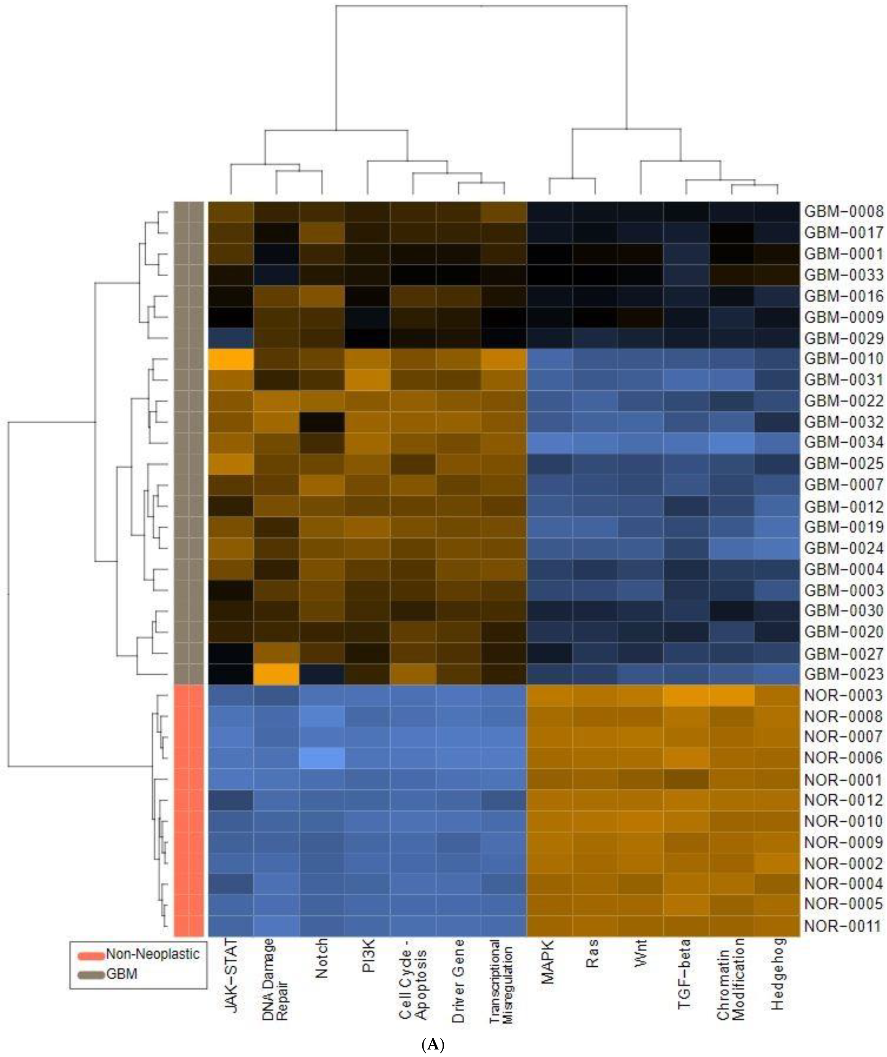 Ijms 25 03668 g001a Ijms 25 03668 g001a