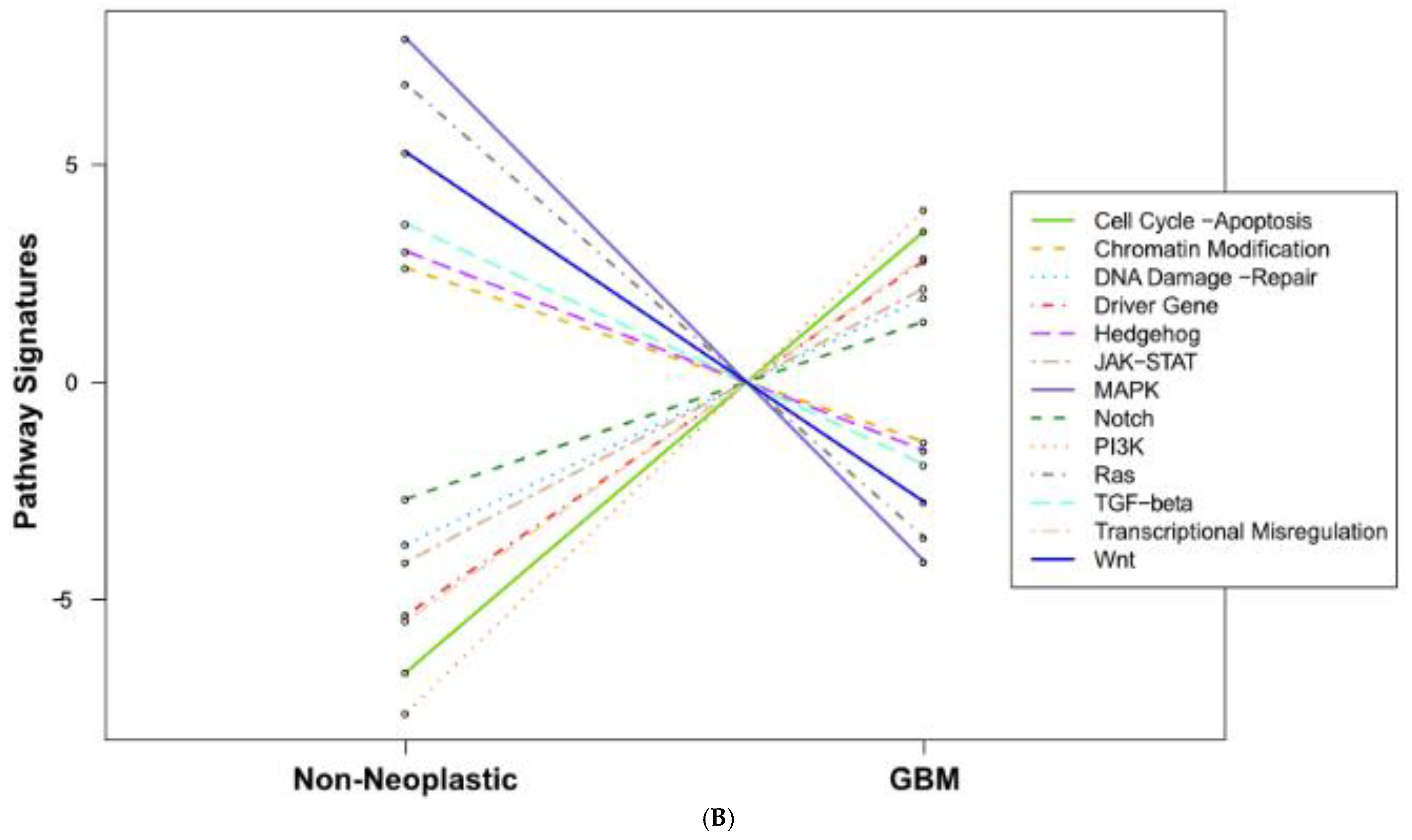 Ijms 25 03668 g001b Ijms 25 03668 g001b