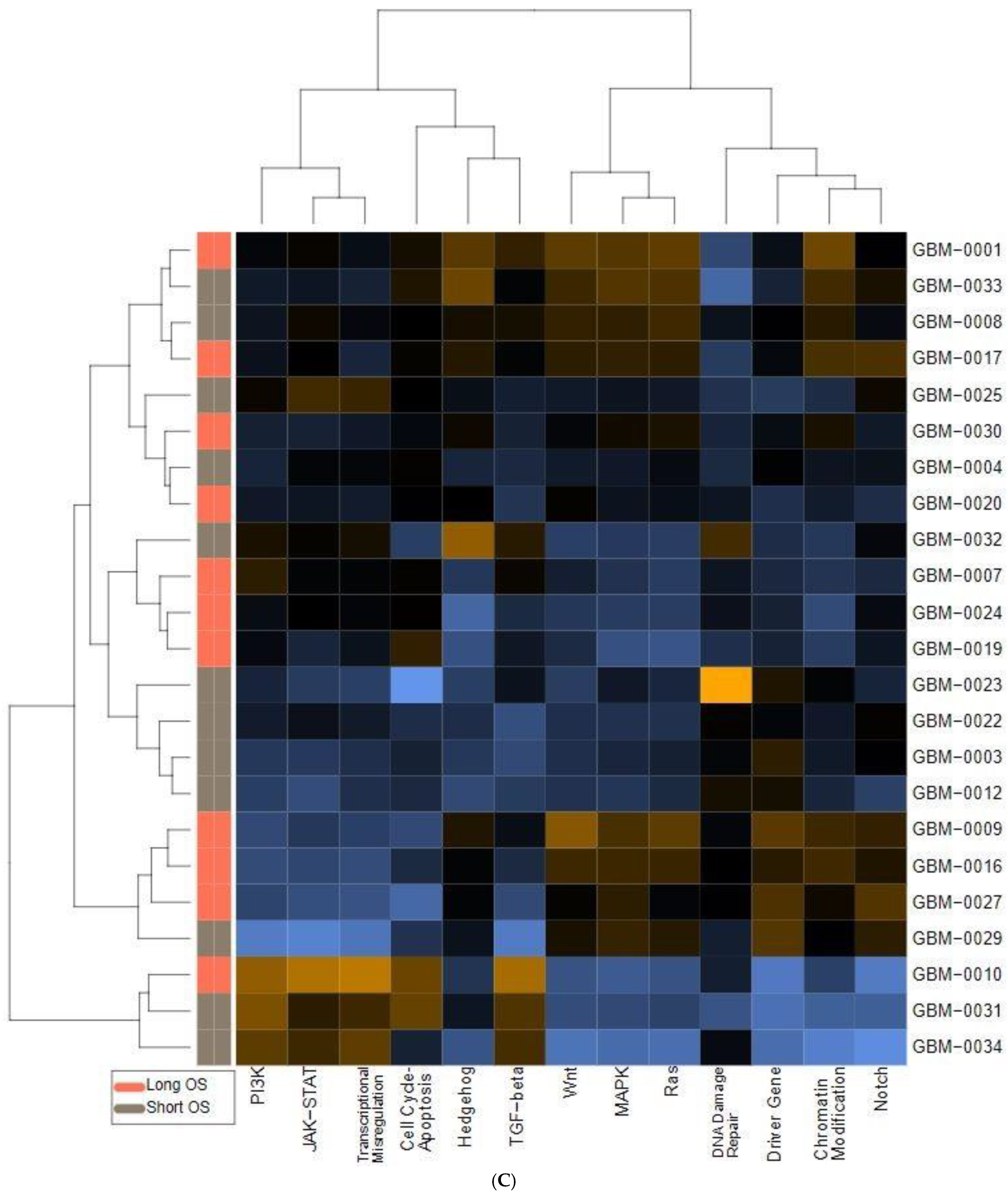 Ijms 25 03668 g001c Ijms 25 03668 g001c