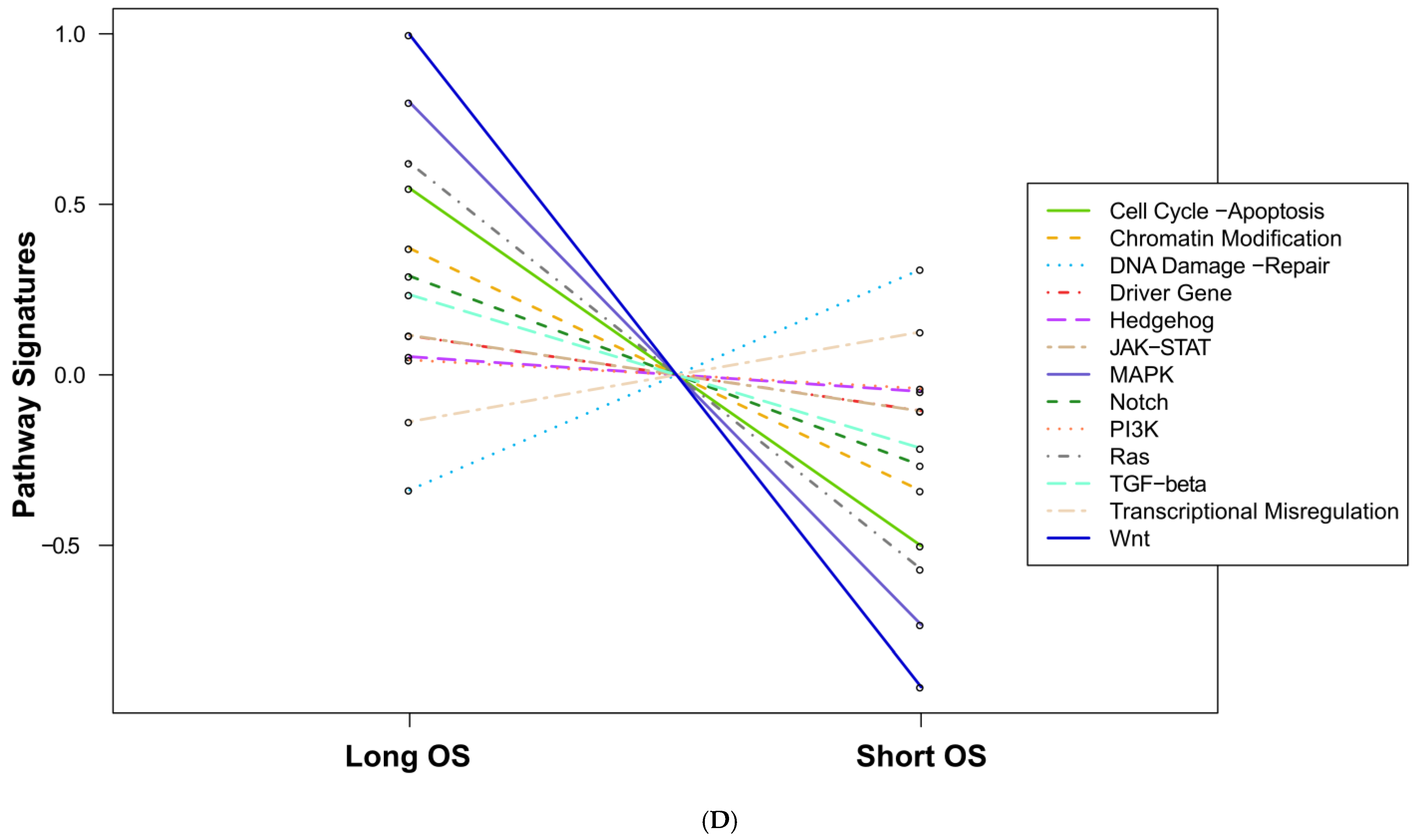 Ijms 25 03668 g001d Ijms 25 03668 g001d