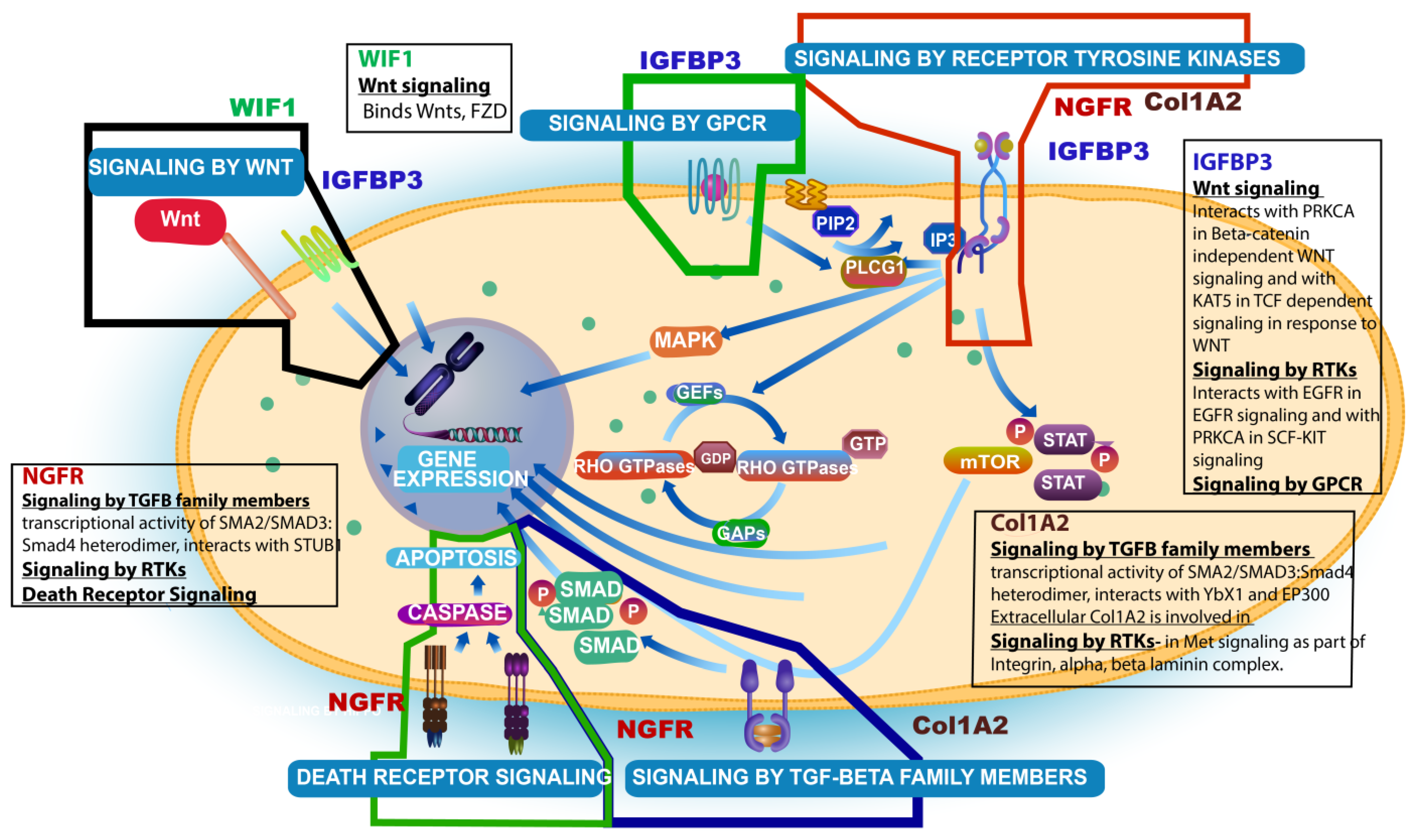 Ijms 25 03668 g003 Ijms 25 03668 g003