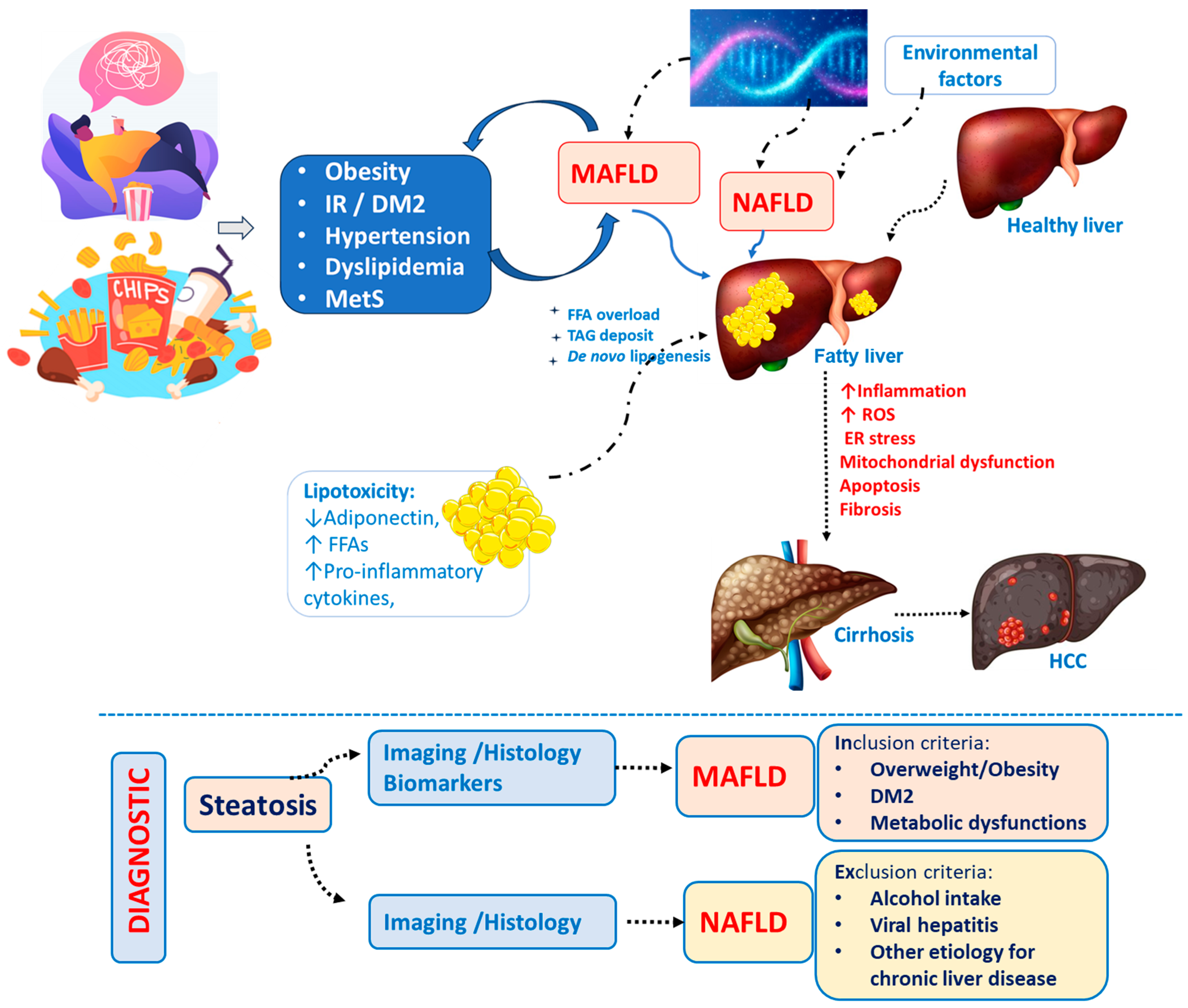 Ijms 25 03694 g001 Ijms 25 03694 g001