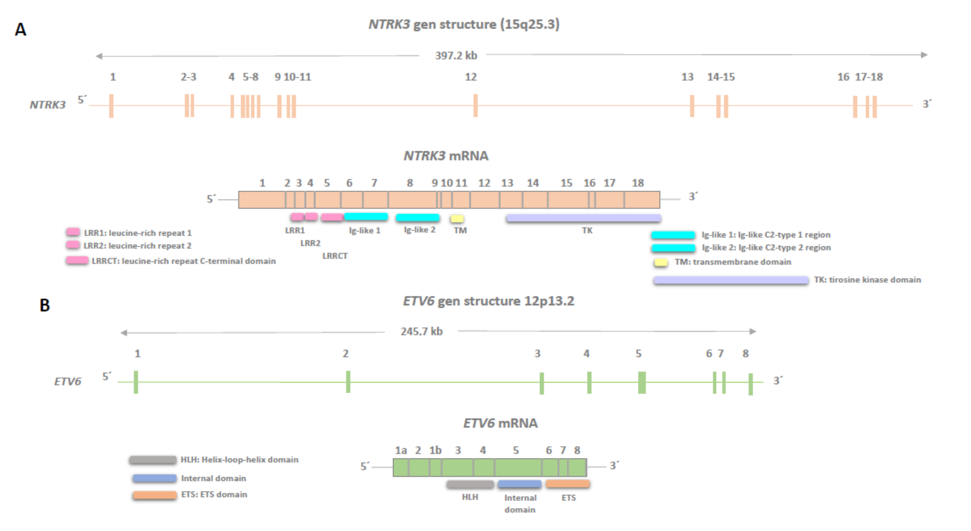 Ijms 25 03707 g001 Ijms 25 03707 g001