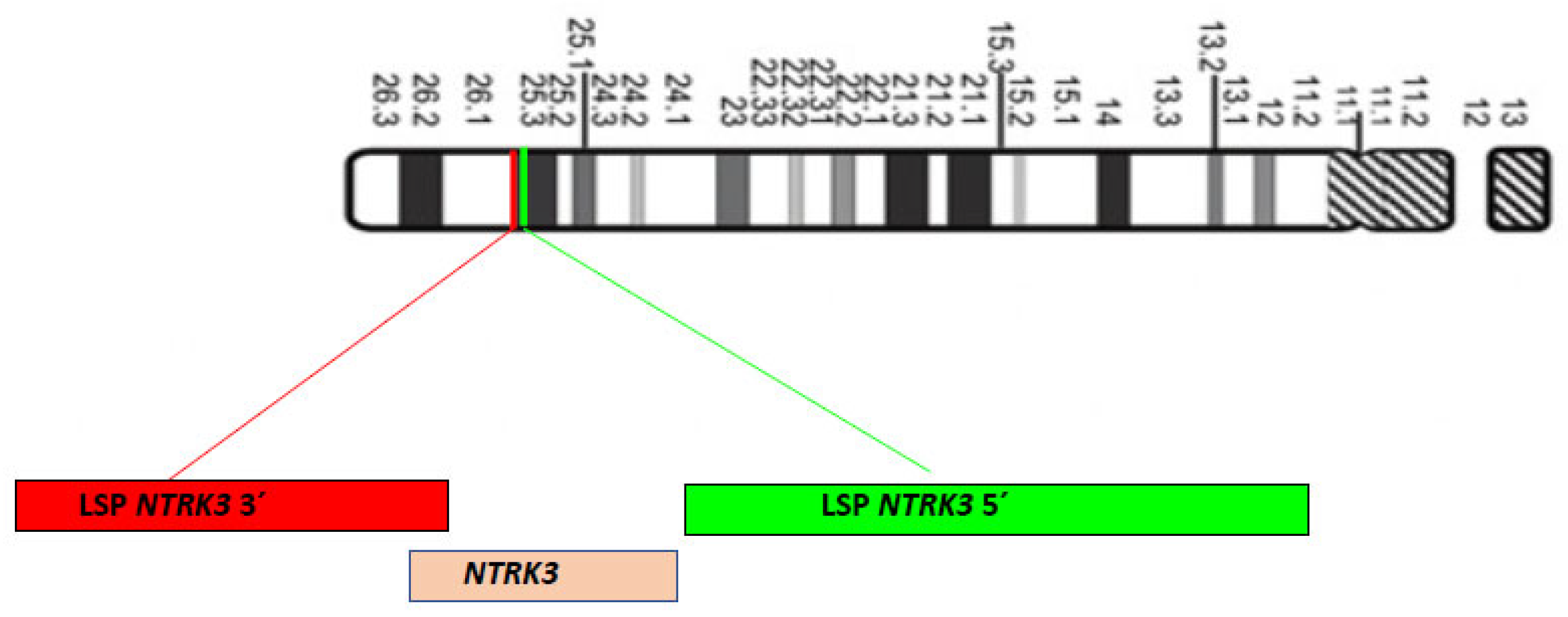 Ijms 25 03707 g002 Ijms 25 03707 g002