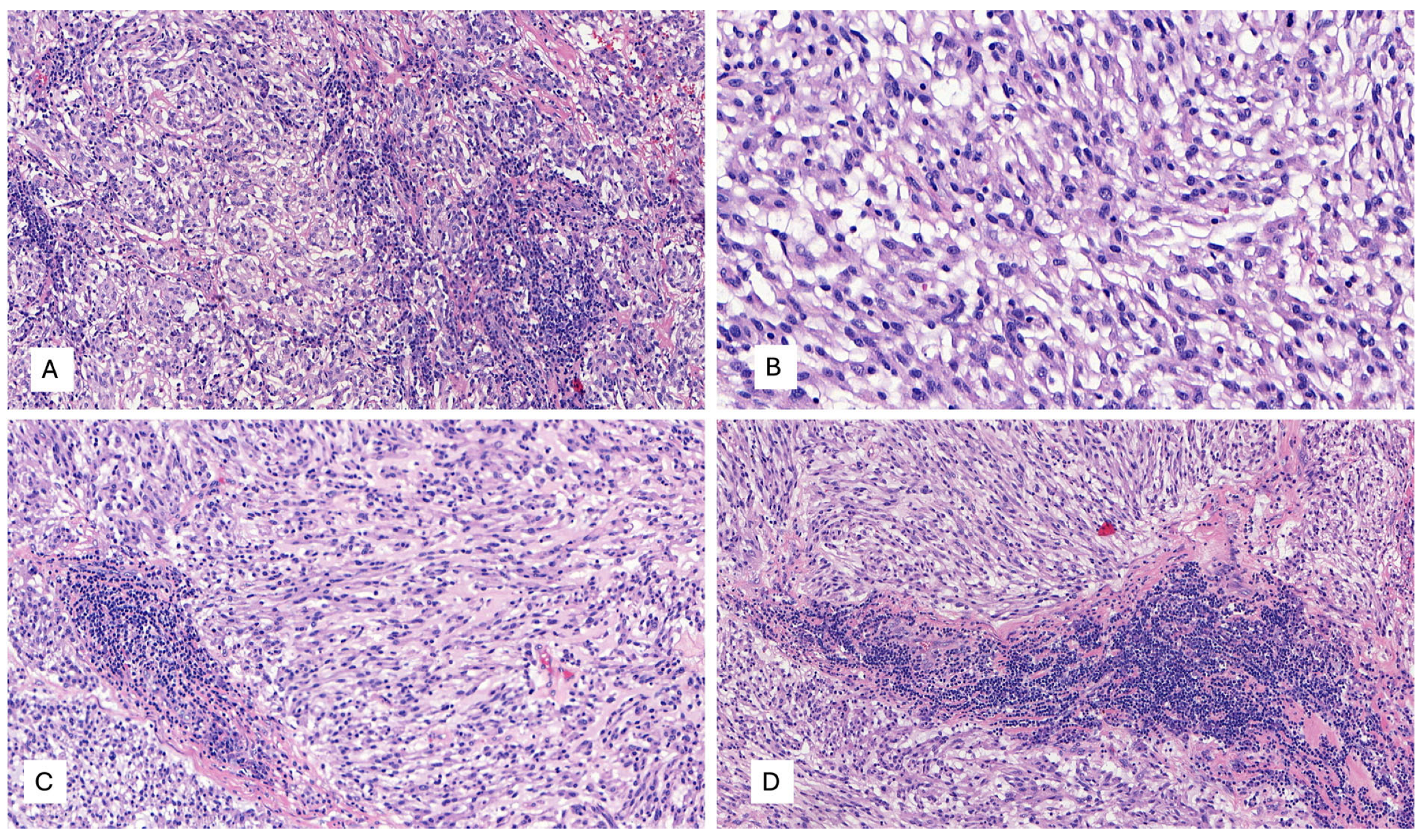 Ijms 25 03707 g004 Ijms 25 03707 g004