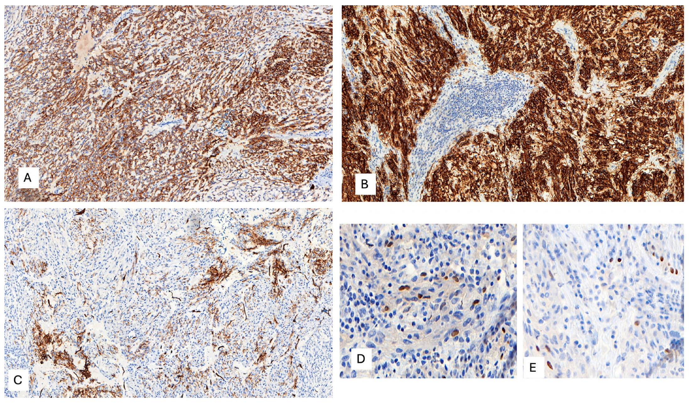 Ijms 25 03707 g005 Ijms 25 03707 g005