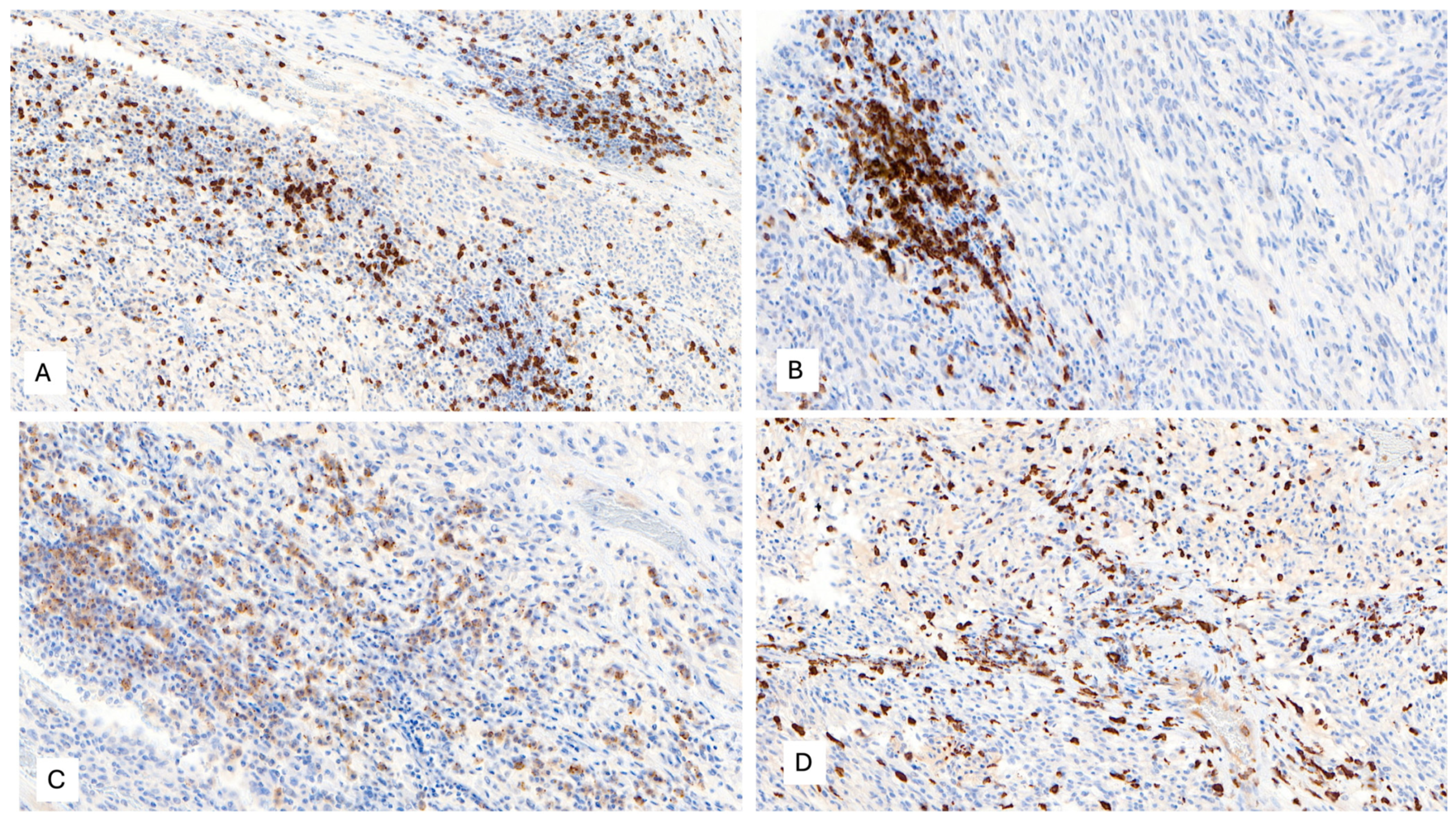 Ijms 25 03707 g006 Ijms 25 03707 g006