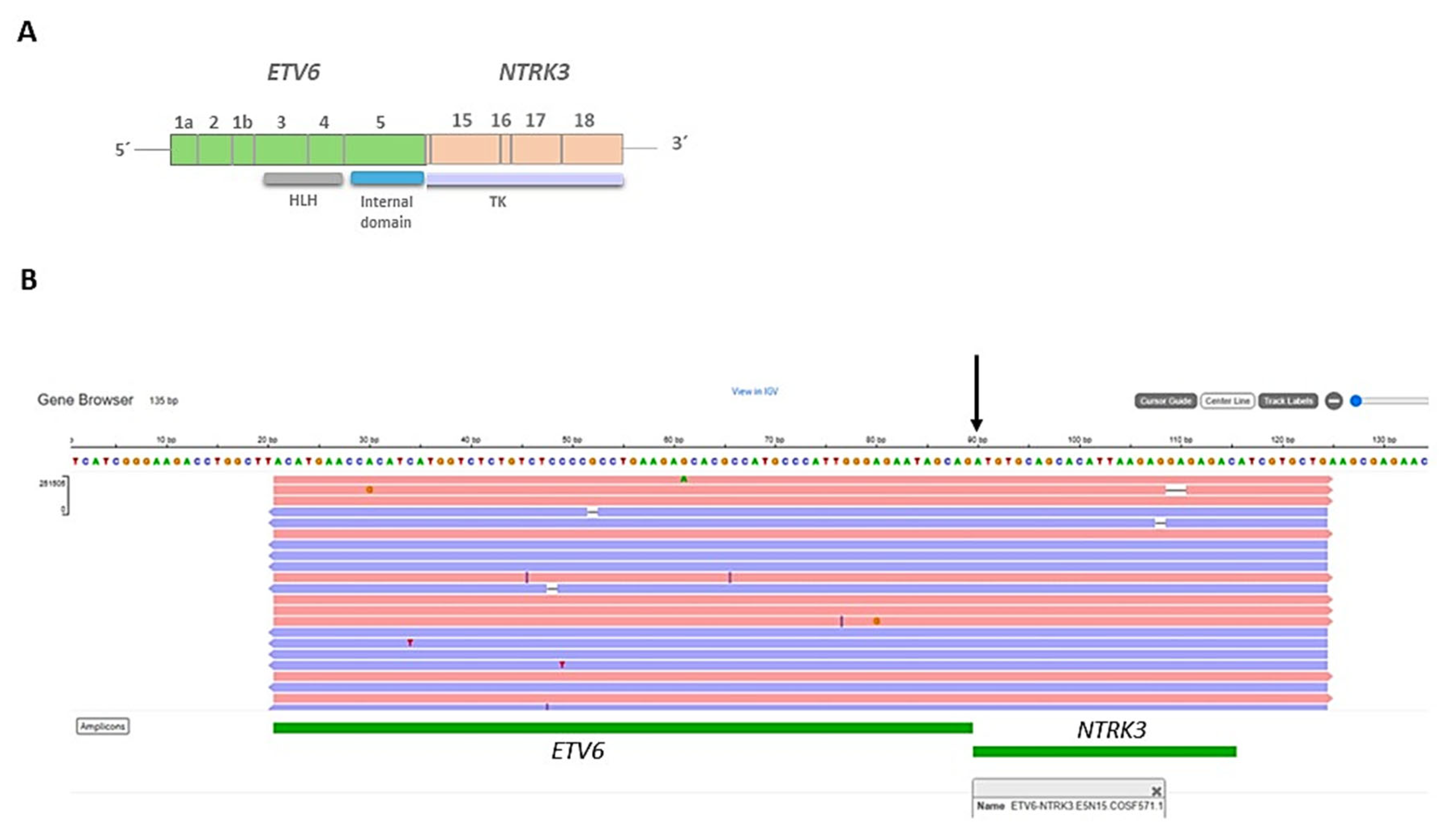 Ijms 25 03707 g007 Ijms 25 03707 g007