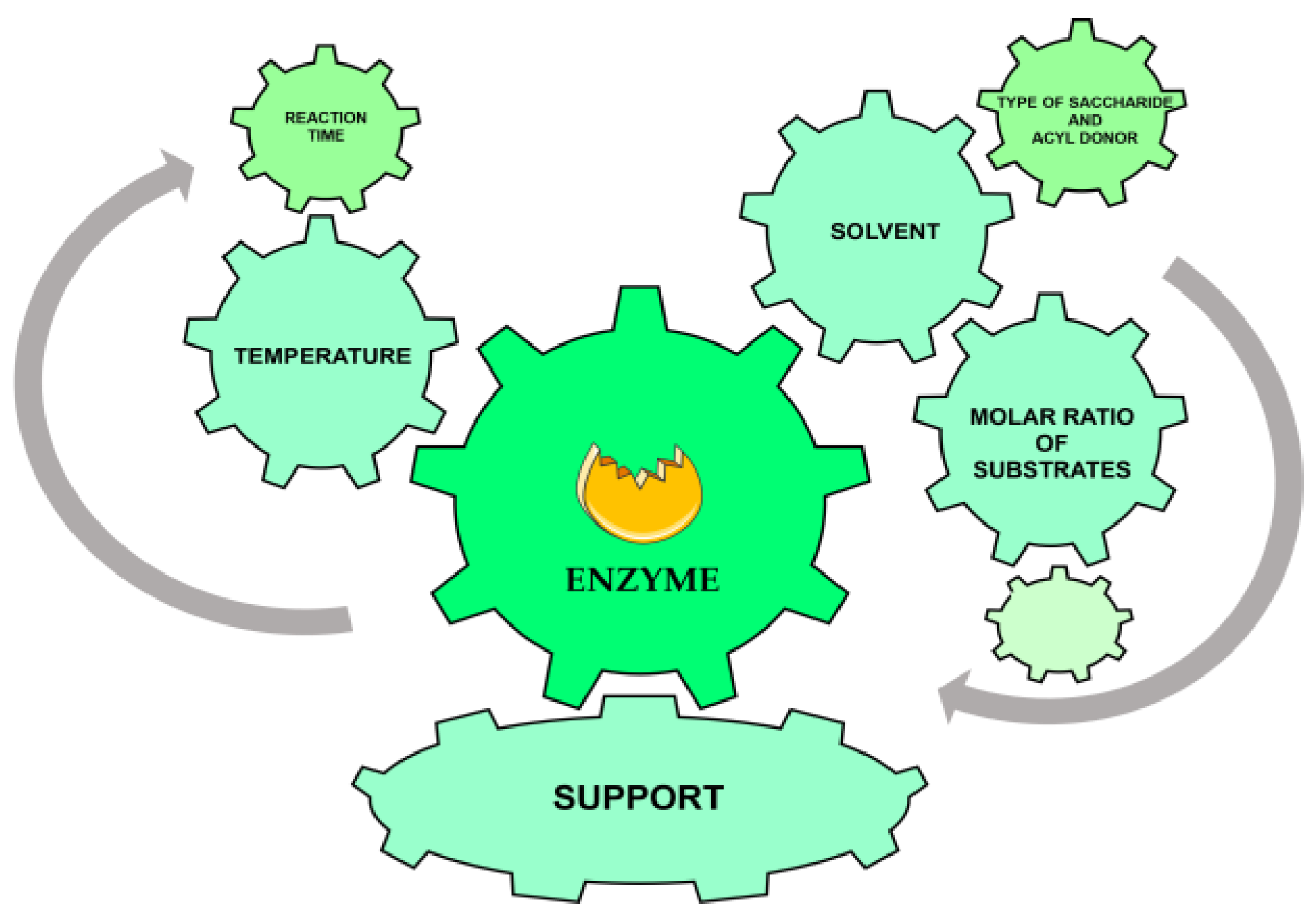 Ijms 25 03727 g001 Ijms 25 03727 g001