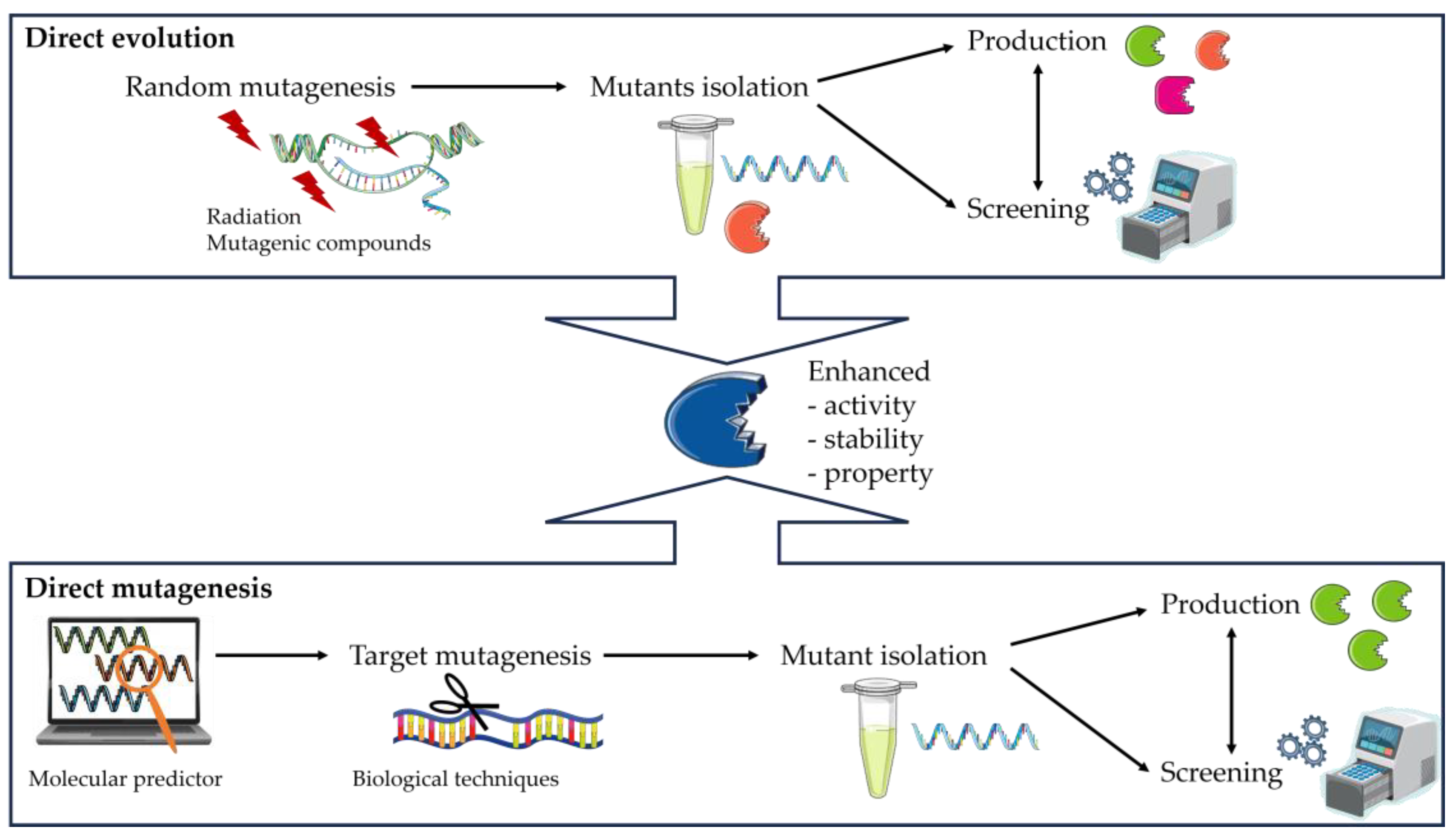 Ijms 25 03727 g003 Ijms 25 03727 g003
