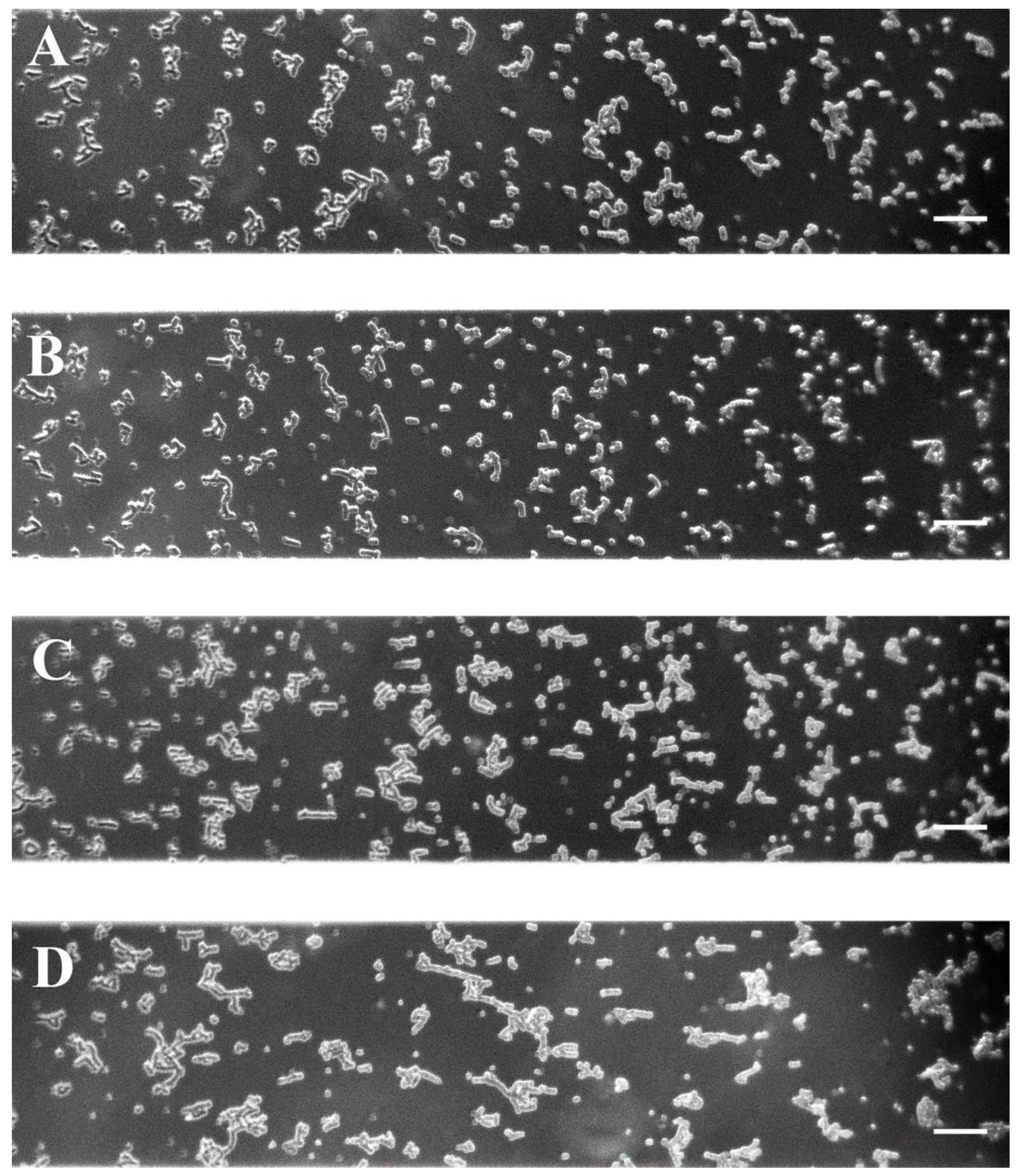 Ijms 25 03732 g004 Ijms 25 03732 g004