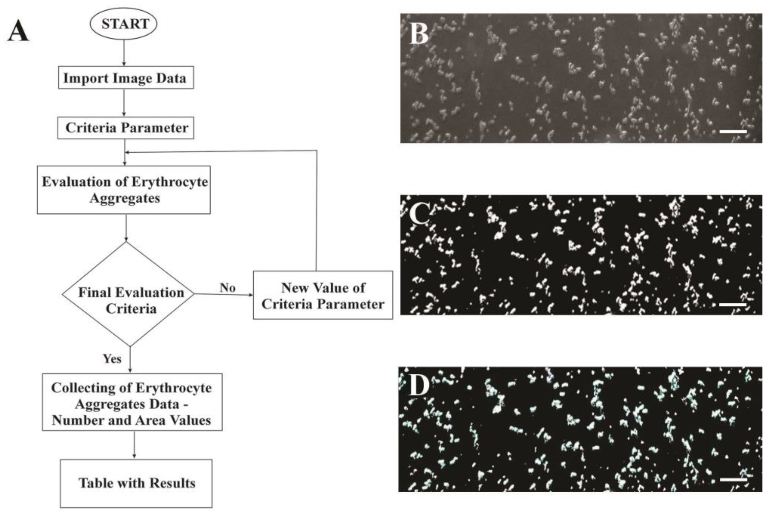 Ijms 25 03732 g006 Ijms 25 03732 g006