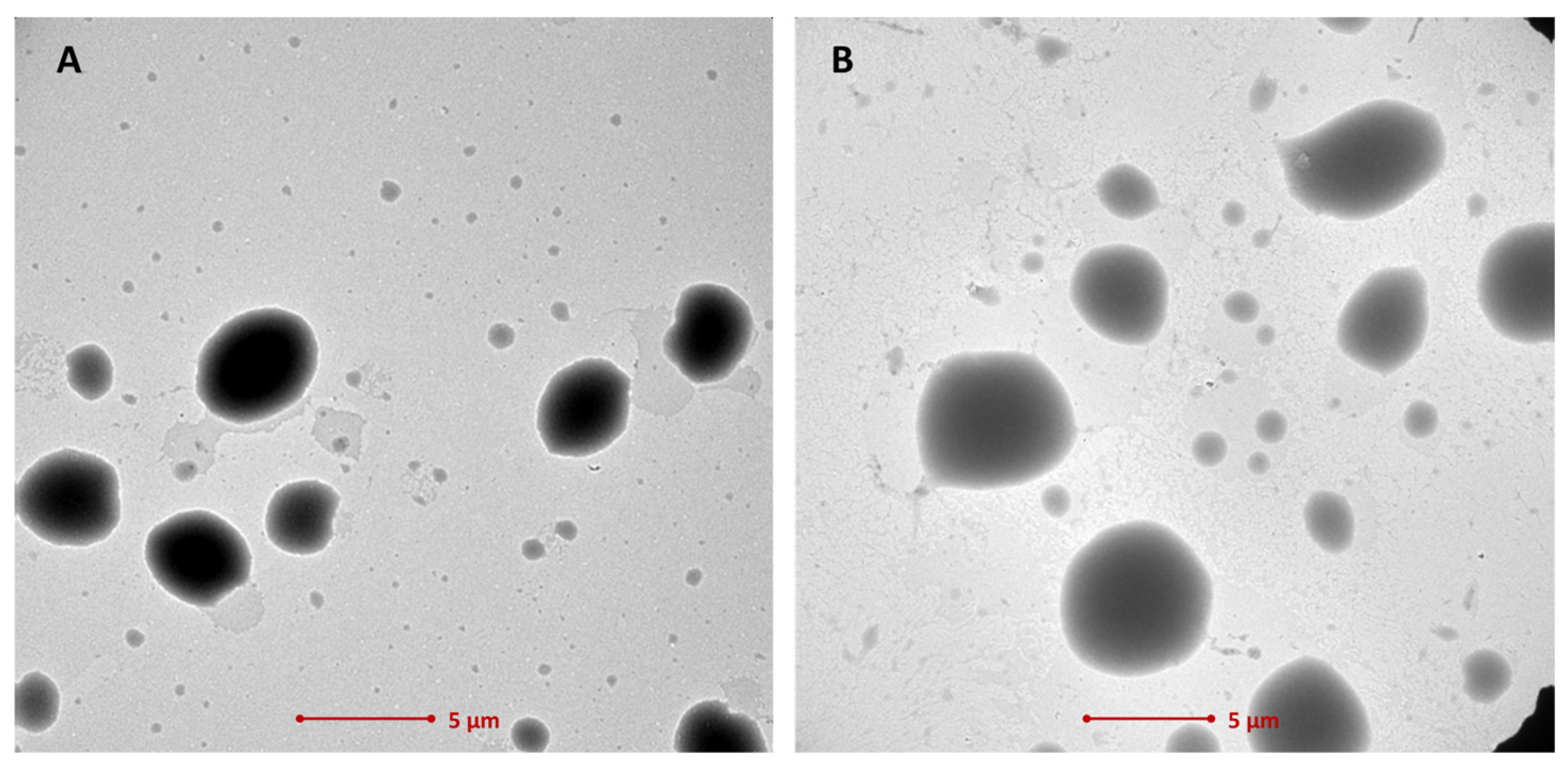 Ijms 25 03765 g001