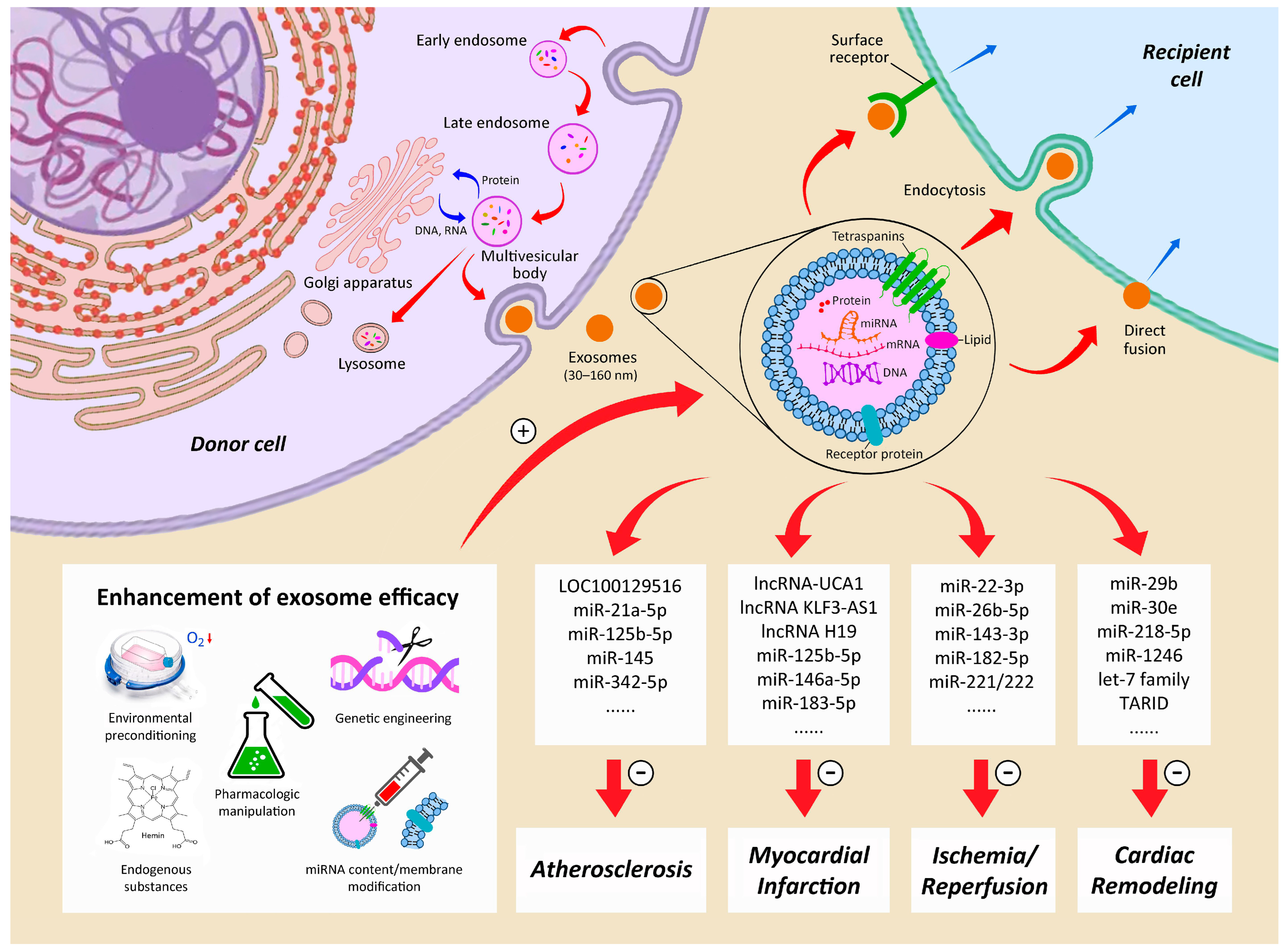 Ijms 25 03778 g003 Ijms 25 03778 g003