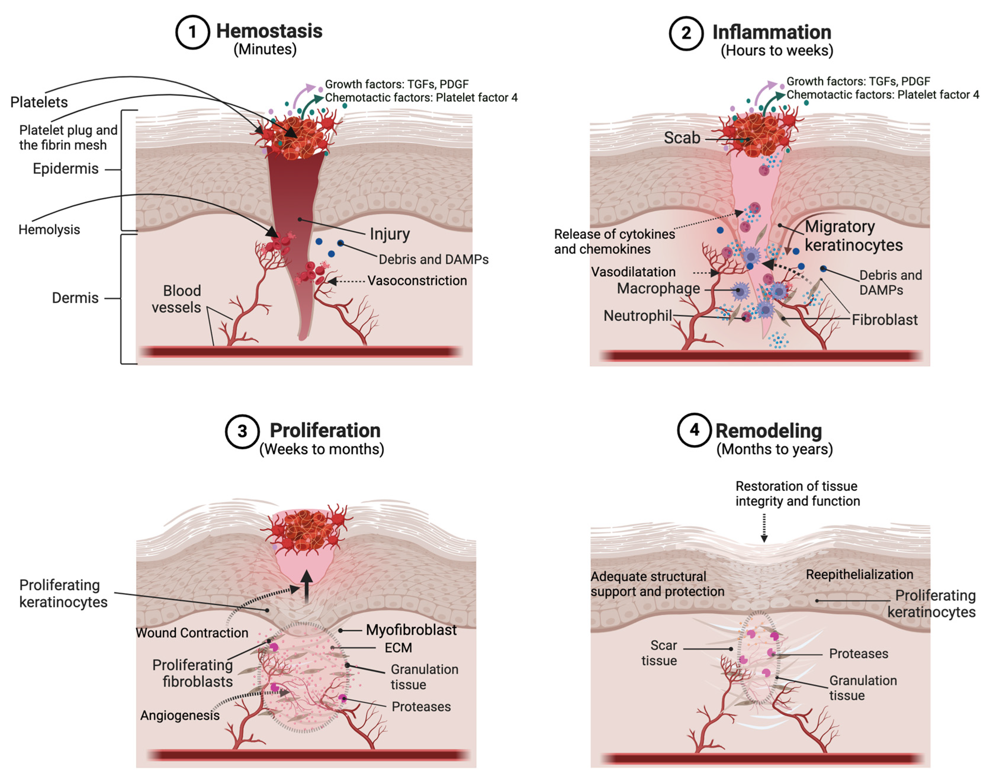 Ijms 25 03790 g002 Ijms 25 03790 g002