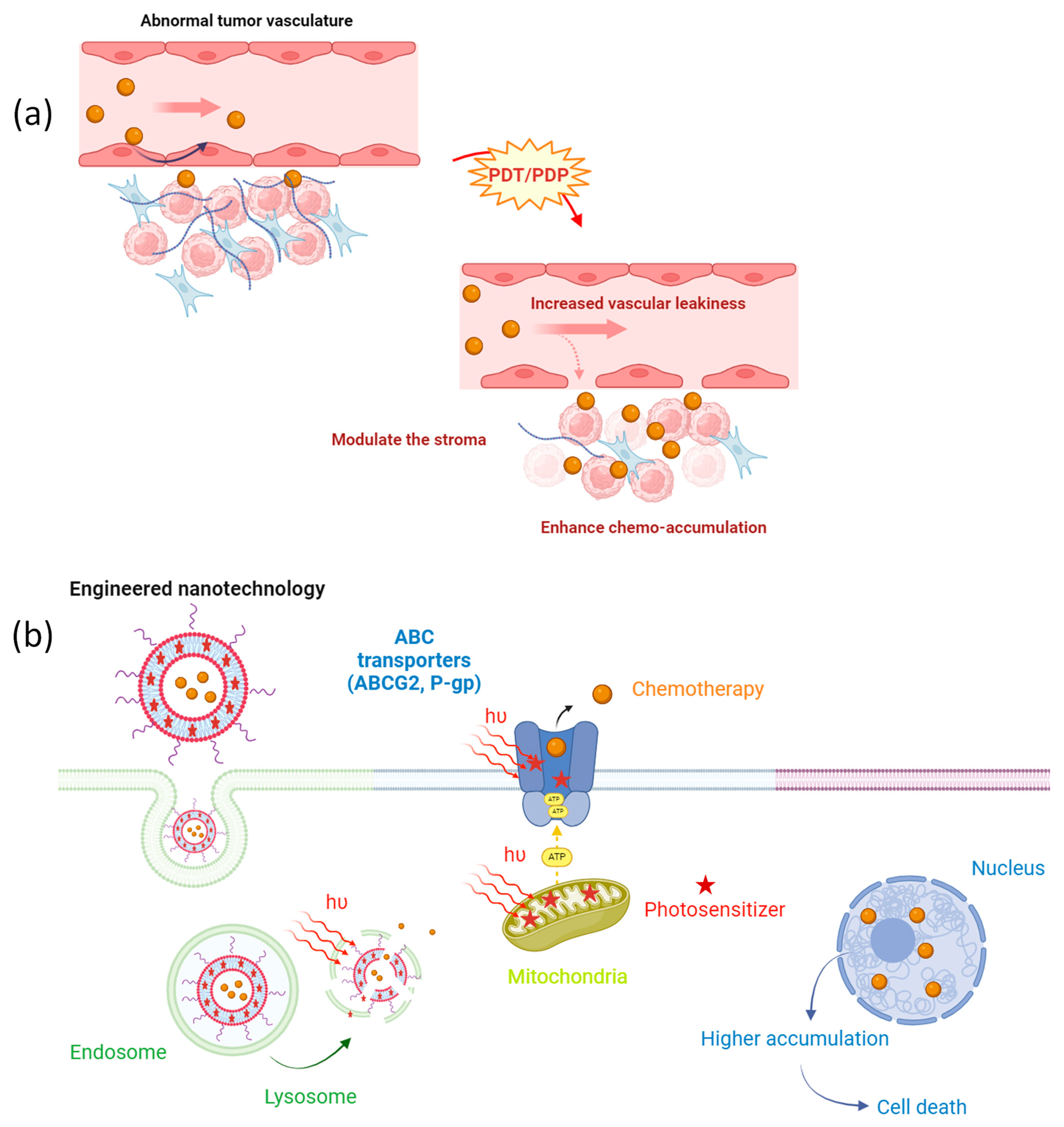 Ijms 25 03811 g002 Ijms 25 03811 g002