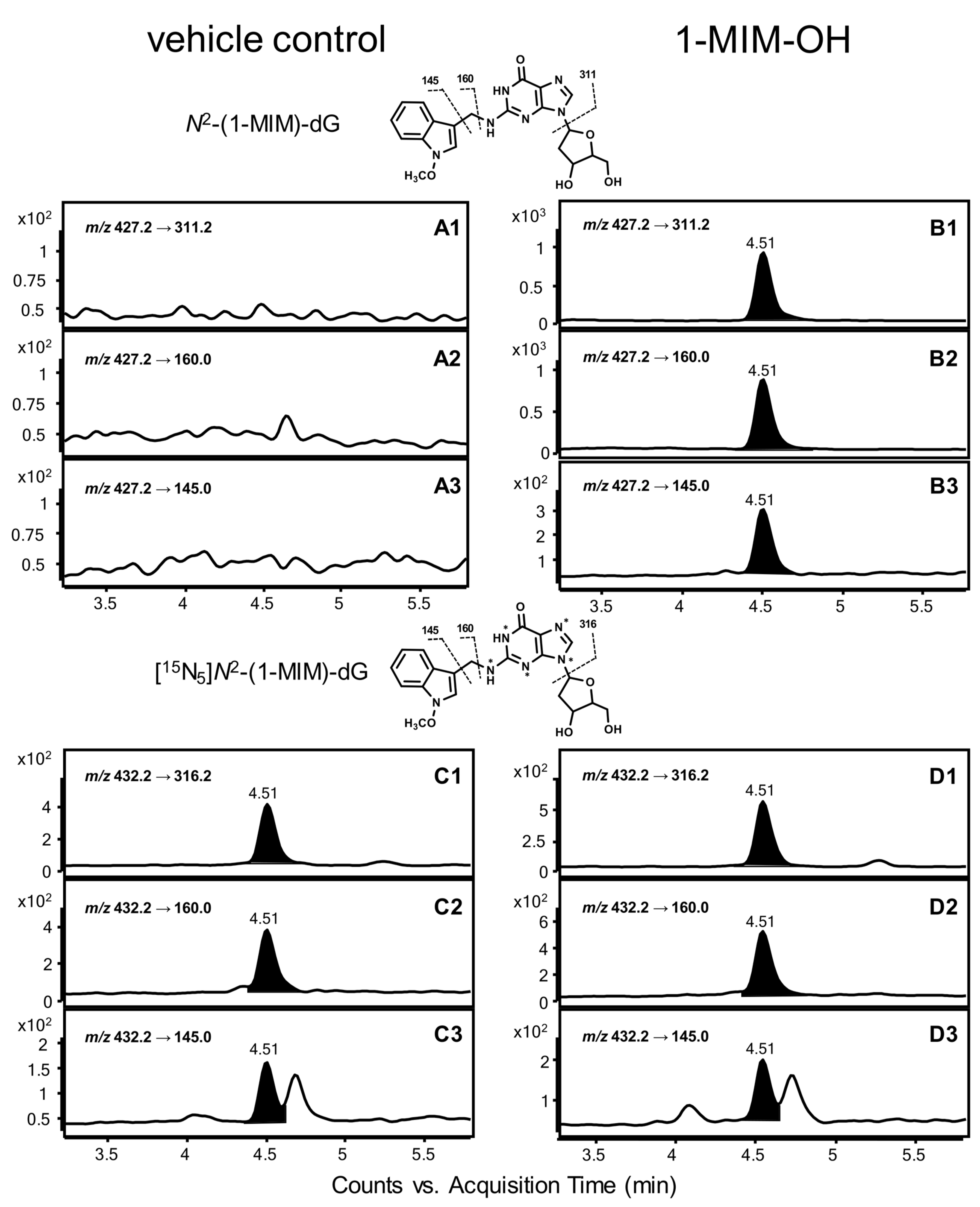Ijms 25 03824 g001 Ijms 25 03824 g001