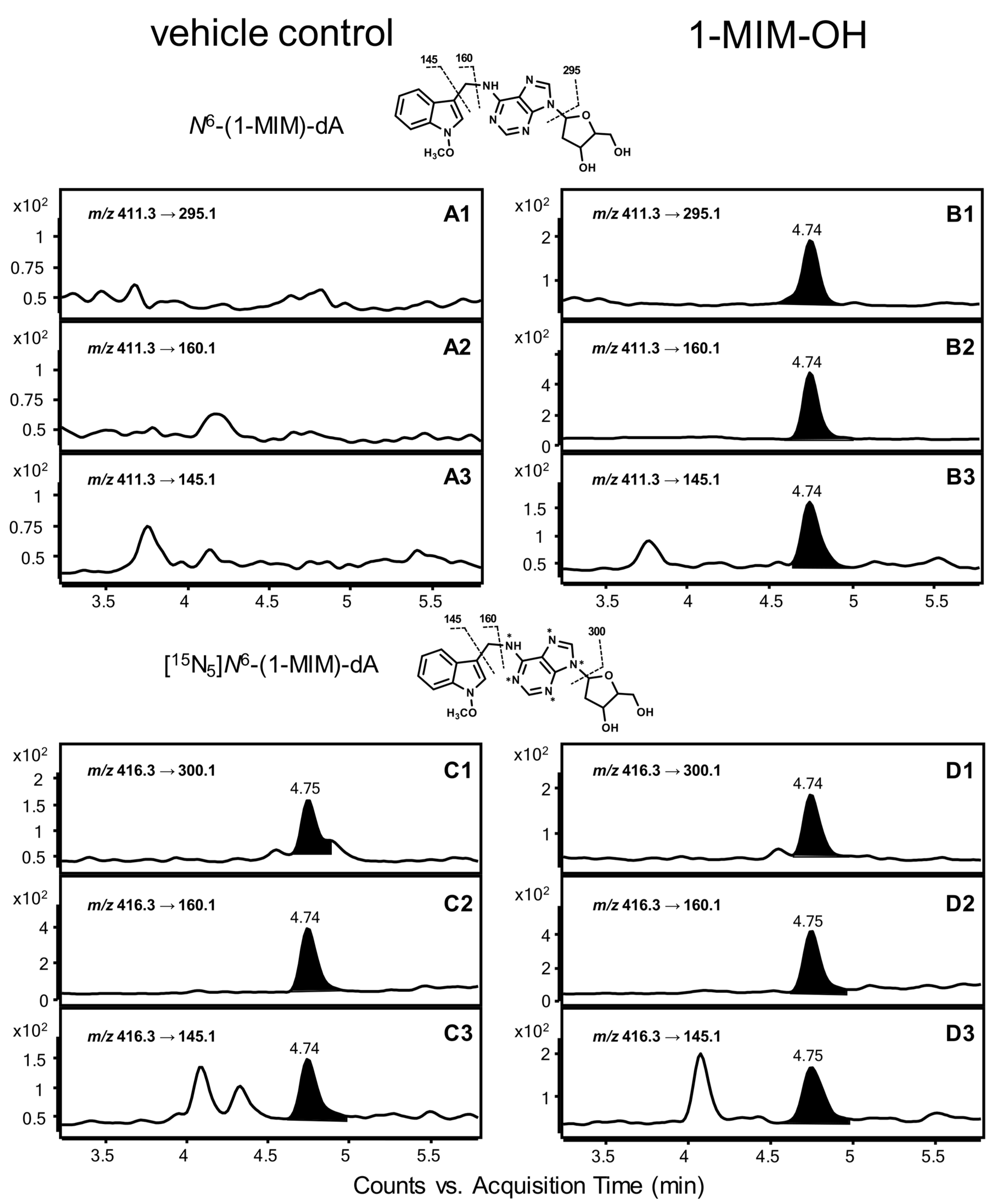 Ijms 25 03824 g002 Ijms 25 03824 g002