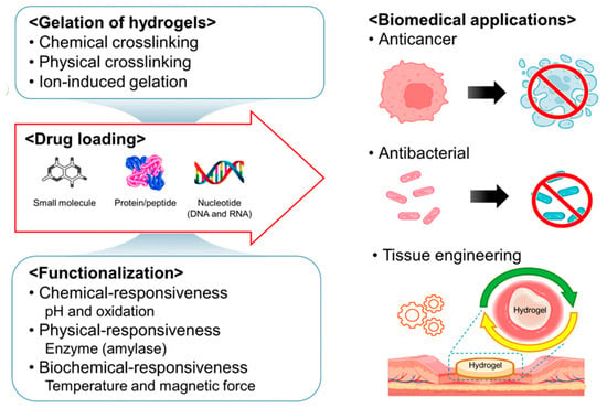 IJMS | Free Full-Text | Advancements in Regenerative Hydrogels in 