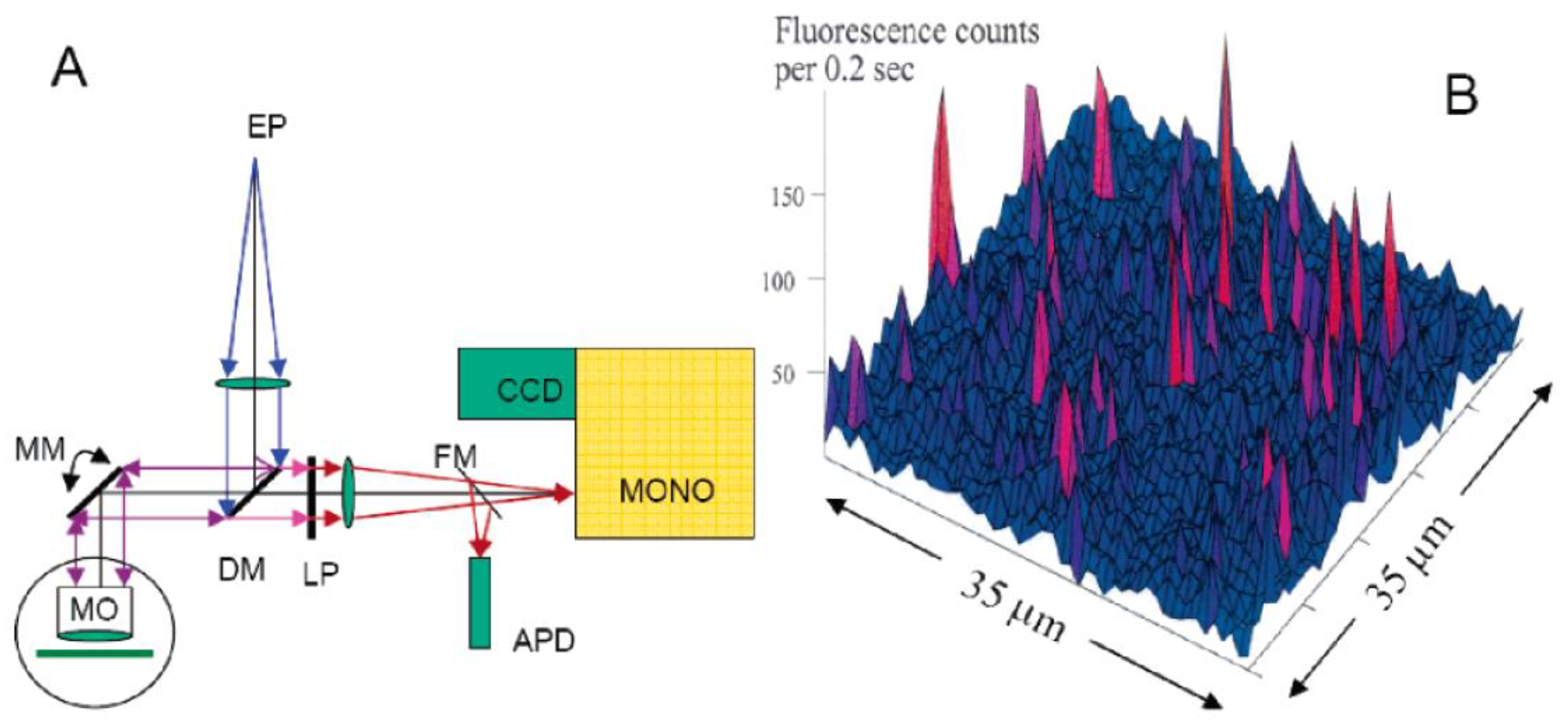 Ijms 25 03850 g002 Ijms 25 03850 g002