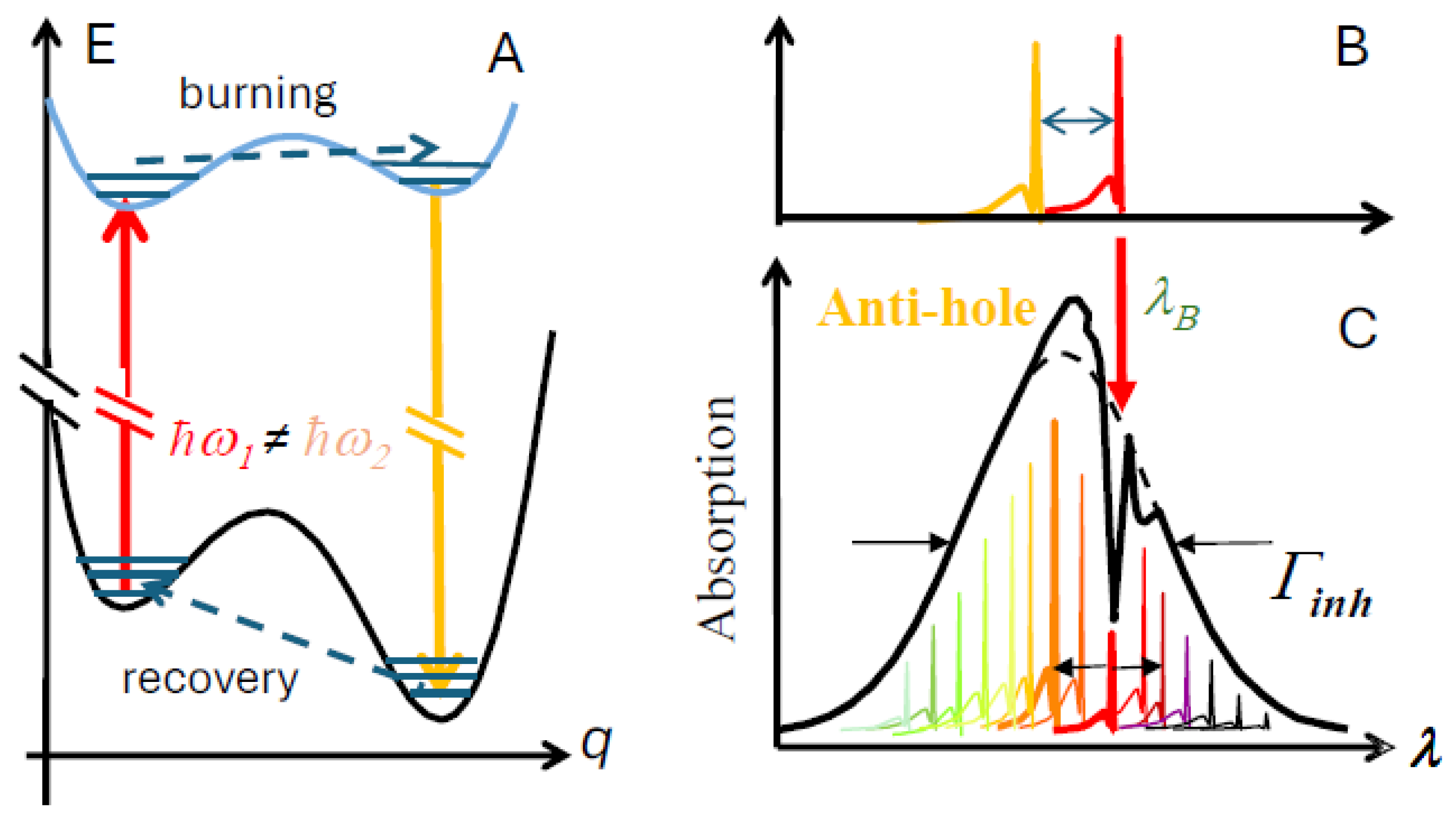 Ijms 25 03850 g003 Ijms 25 03850 g003
